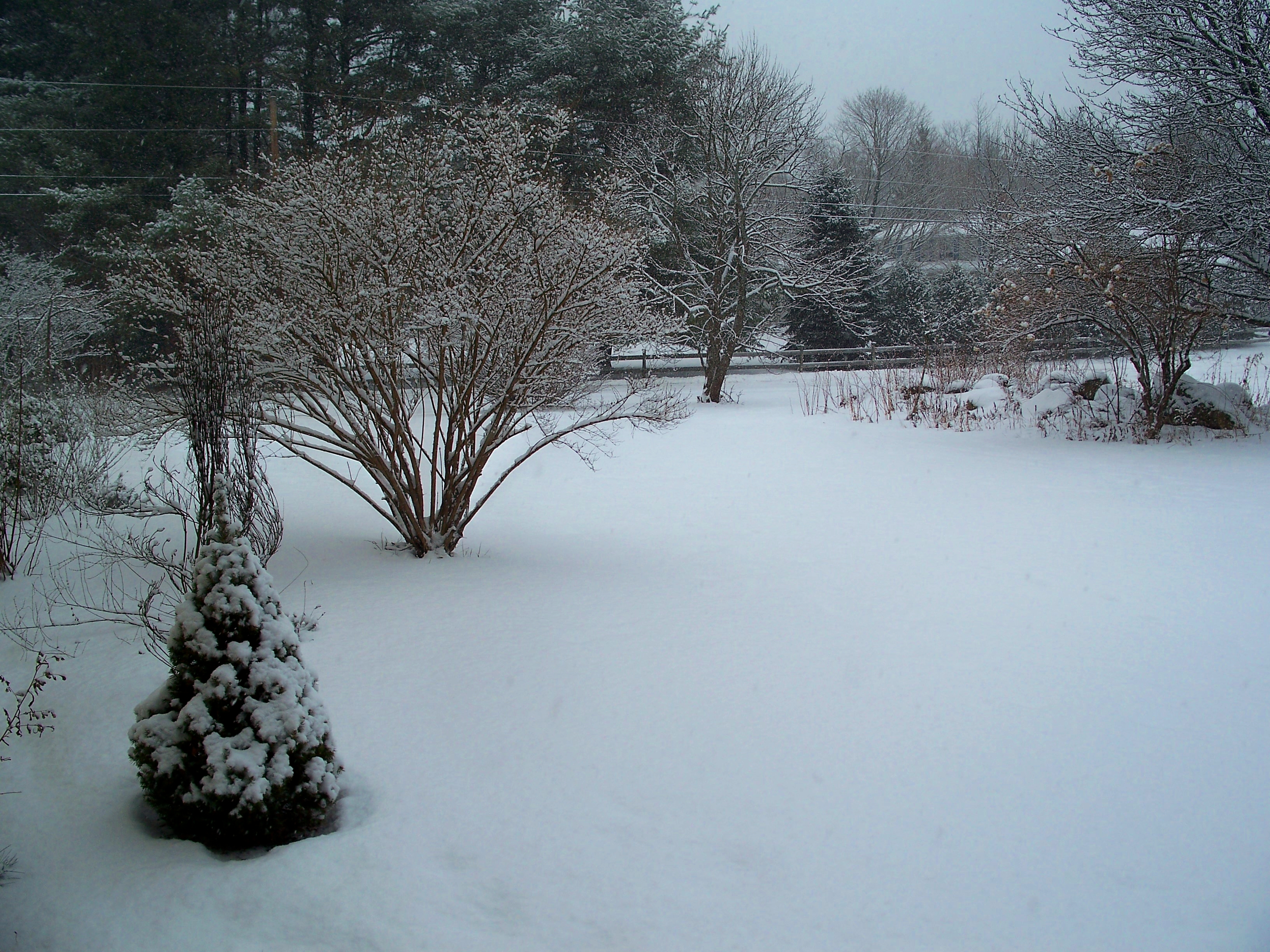 Possible Spring Project