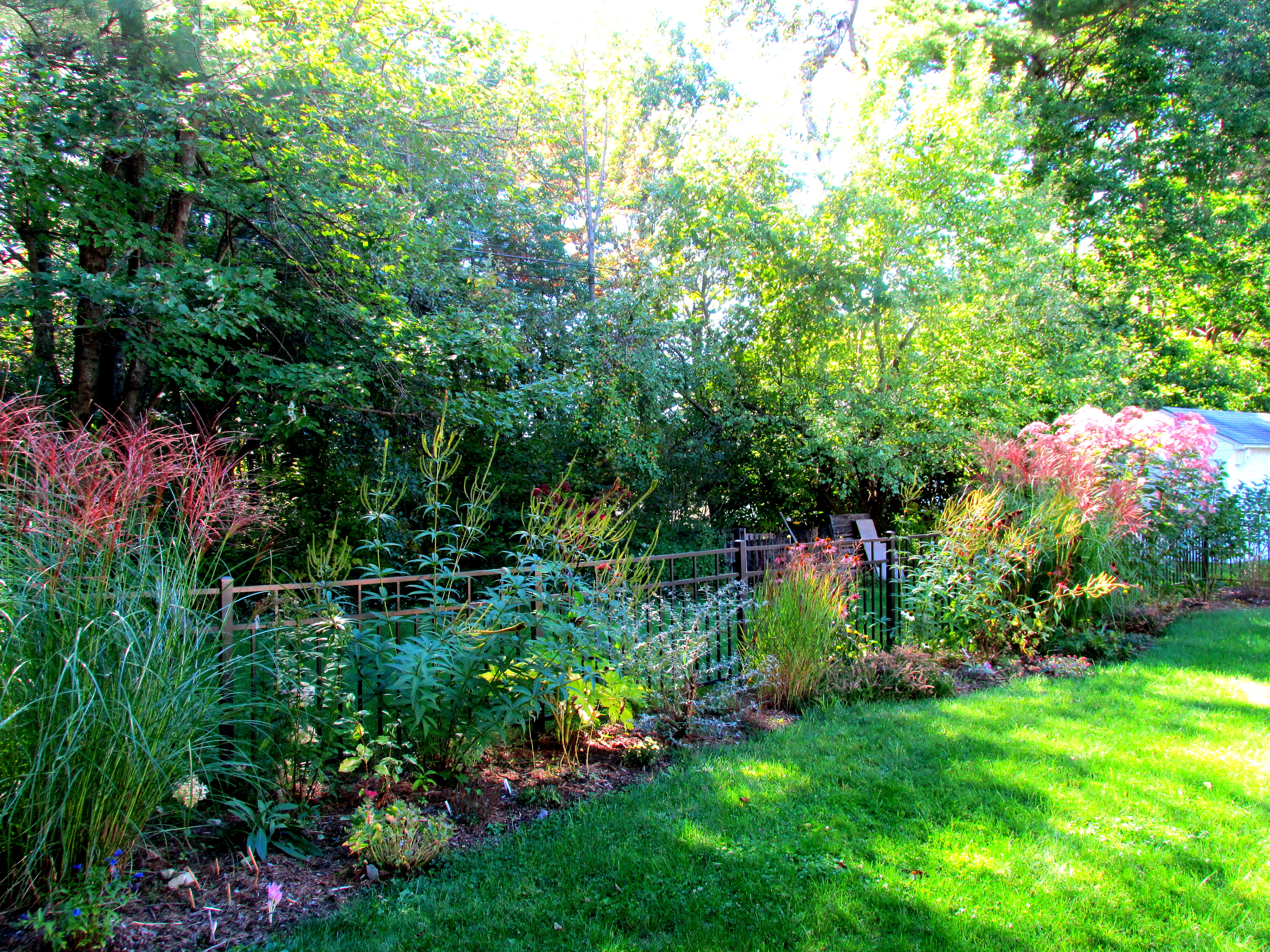 Garden Design for Plantaholics