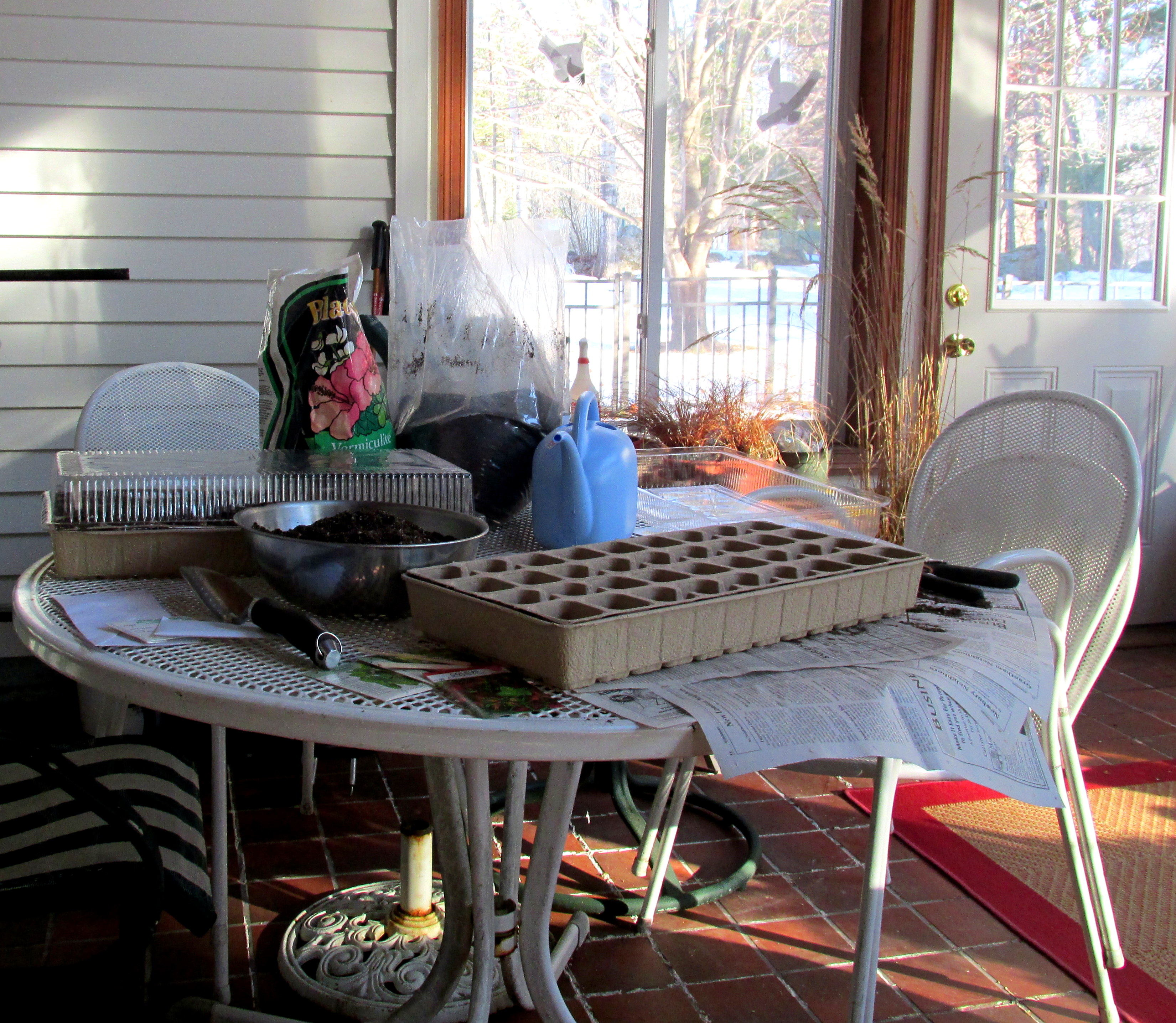 The Side Yard Project Begins