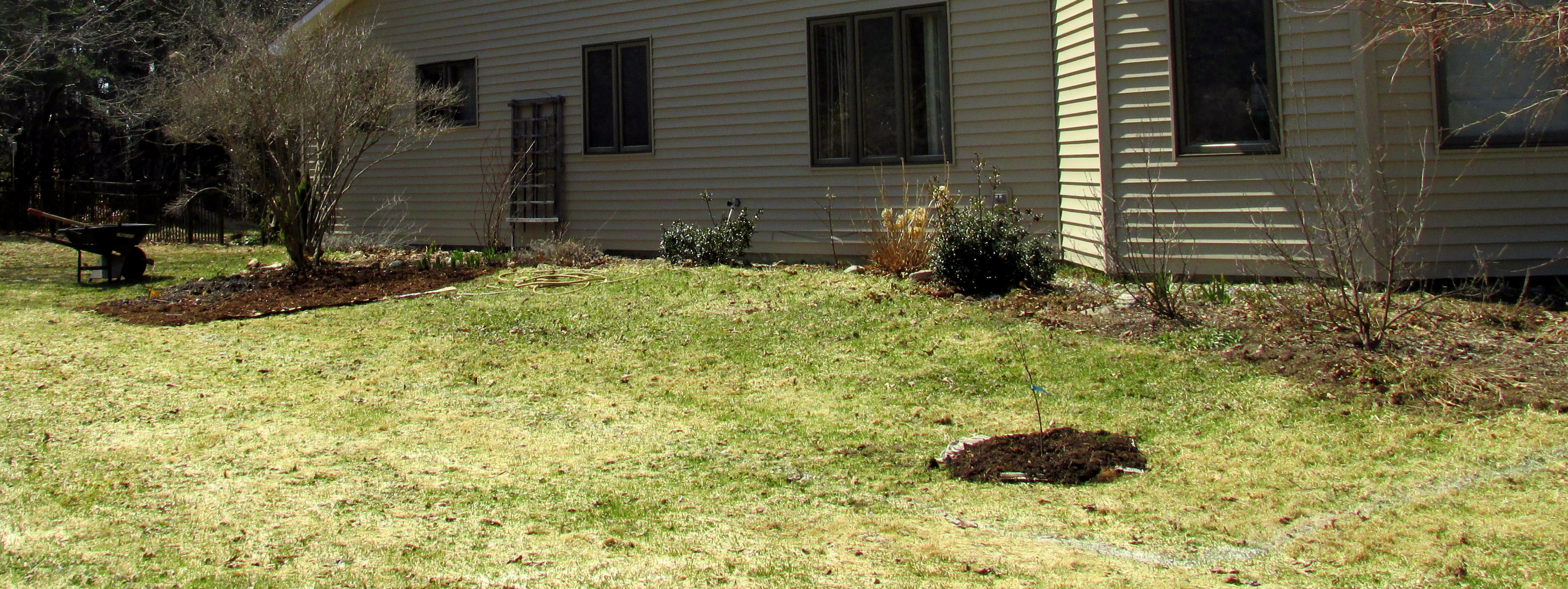 Sheet-Mulching Photo Essay