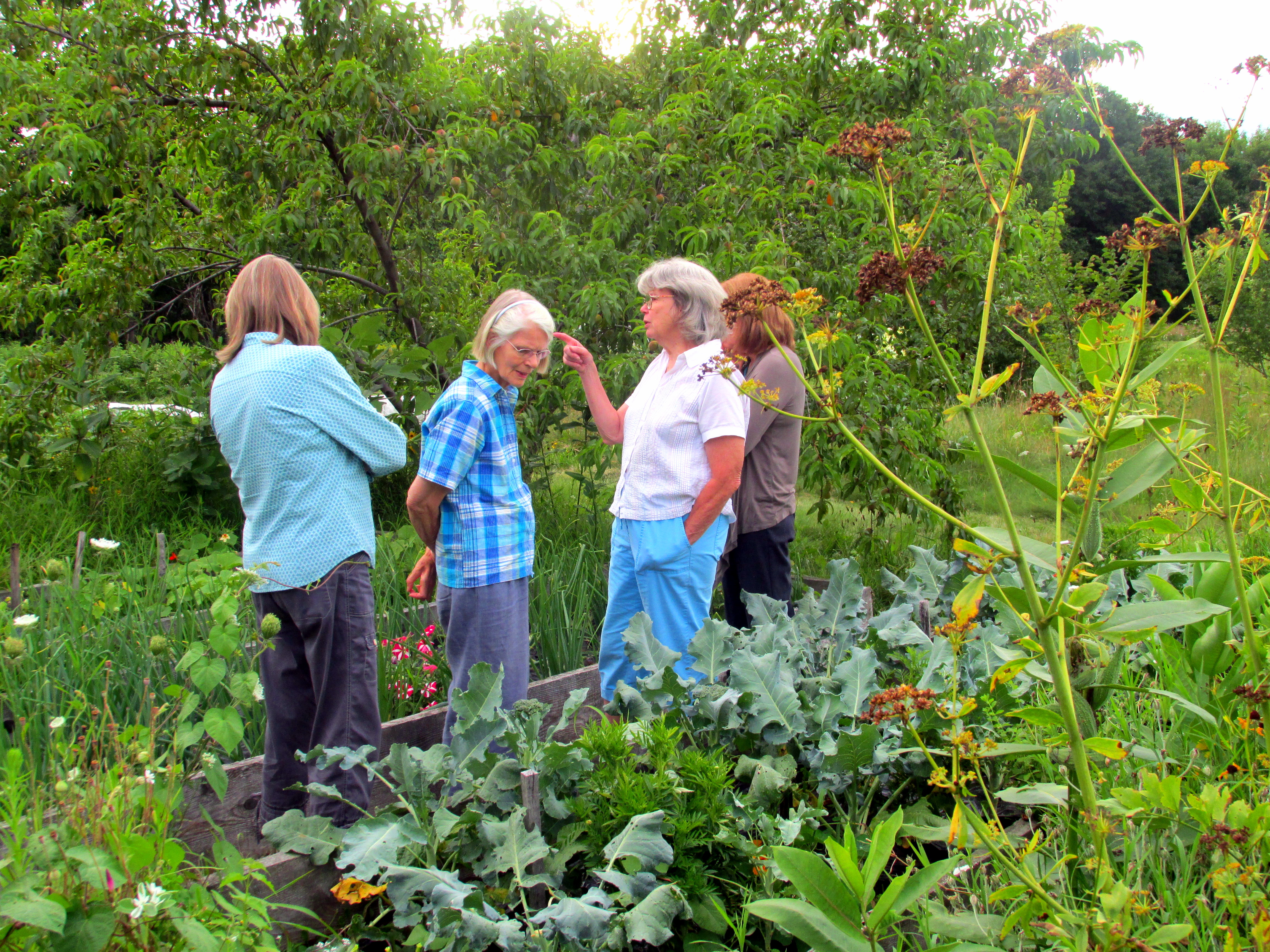 Weeding out the tears to grow a good crop *