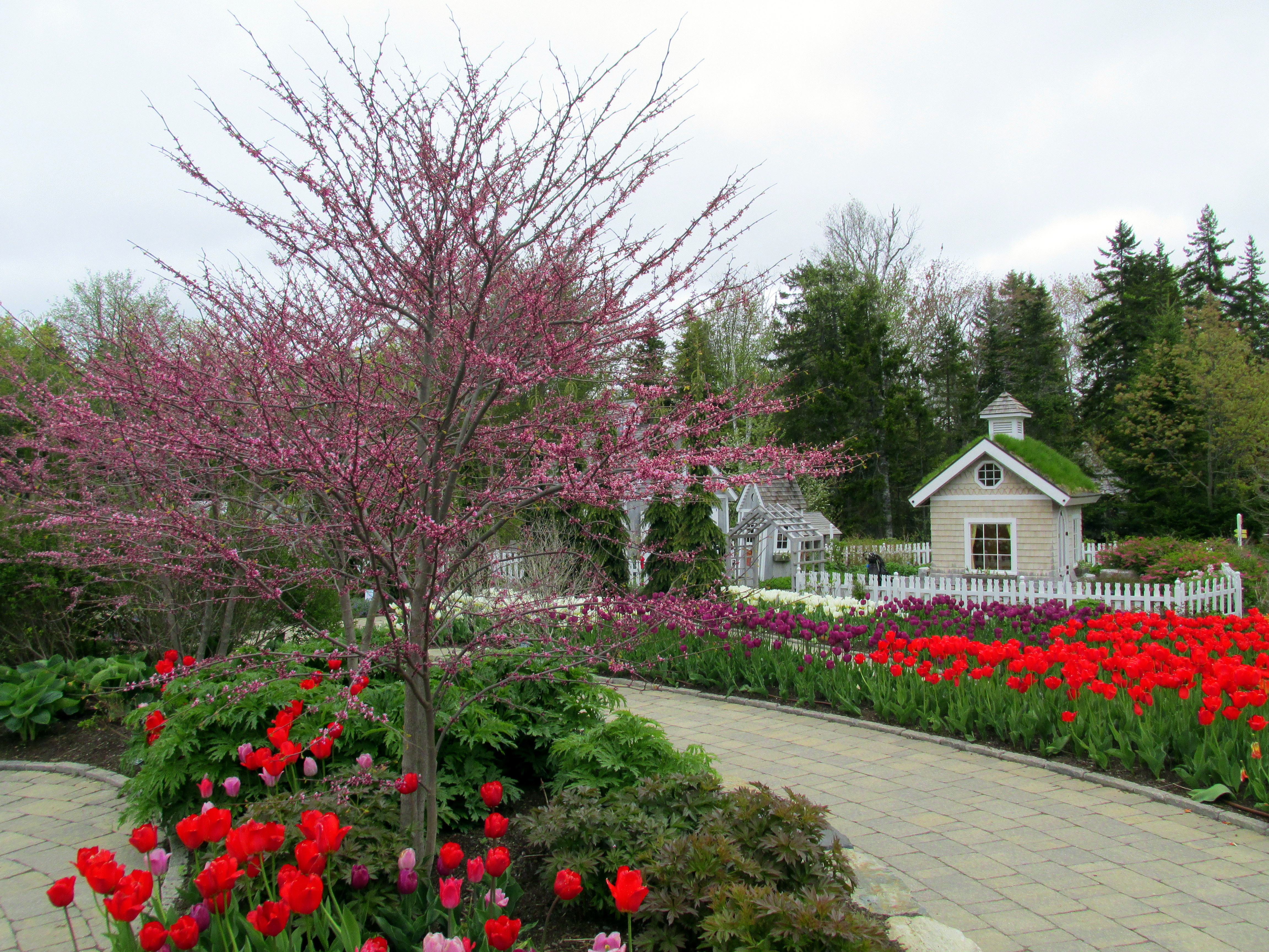 Earth Garden II: Coastal Maine Botanical Gardens