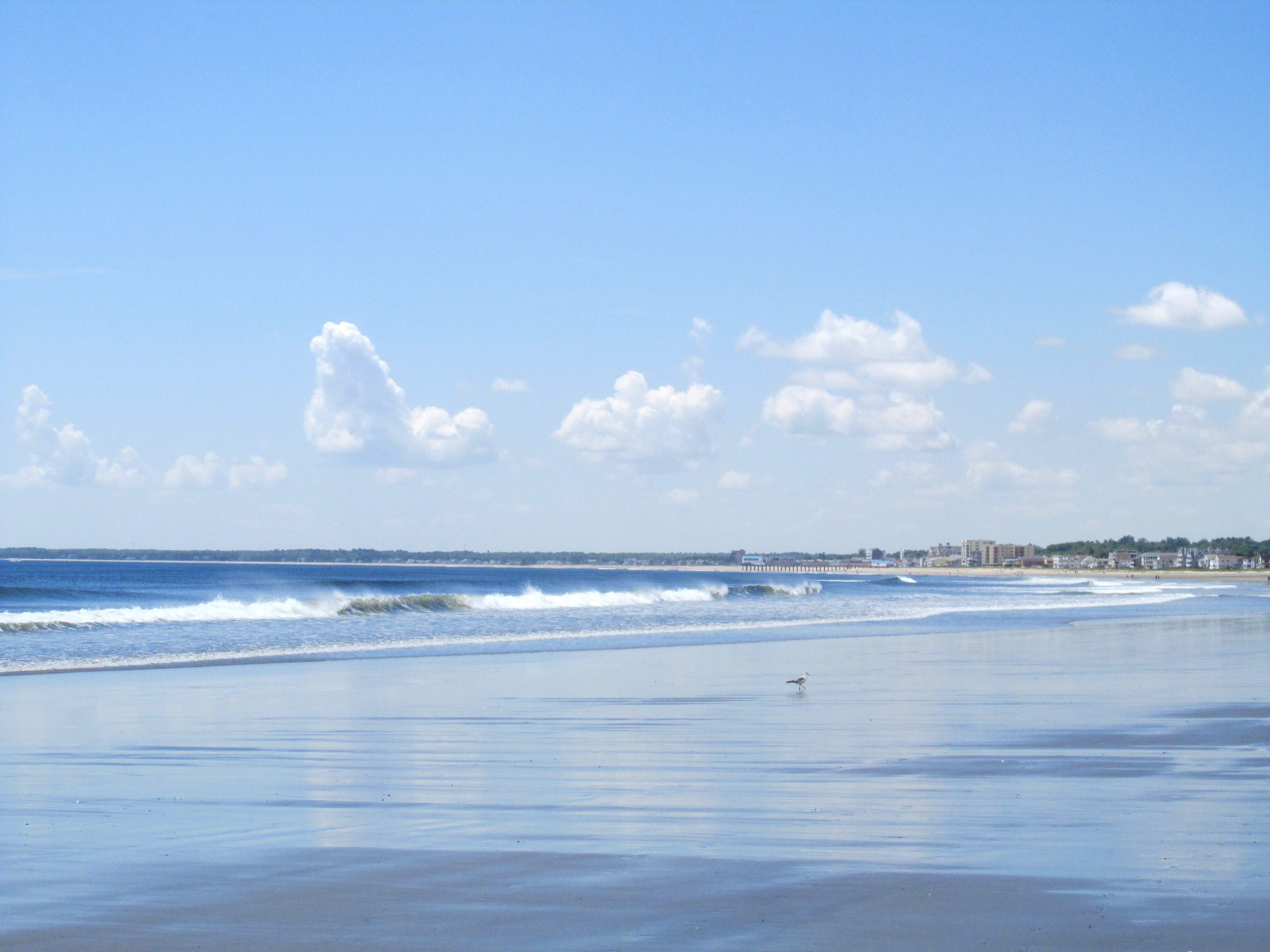 Earth Garden VIII: Pine Point Beach, Scarborough, Maine