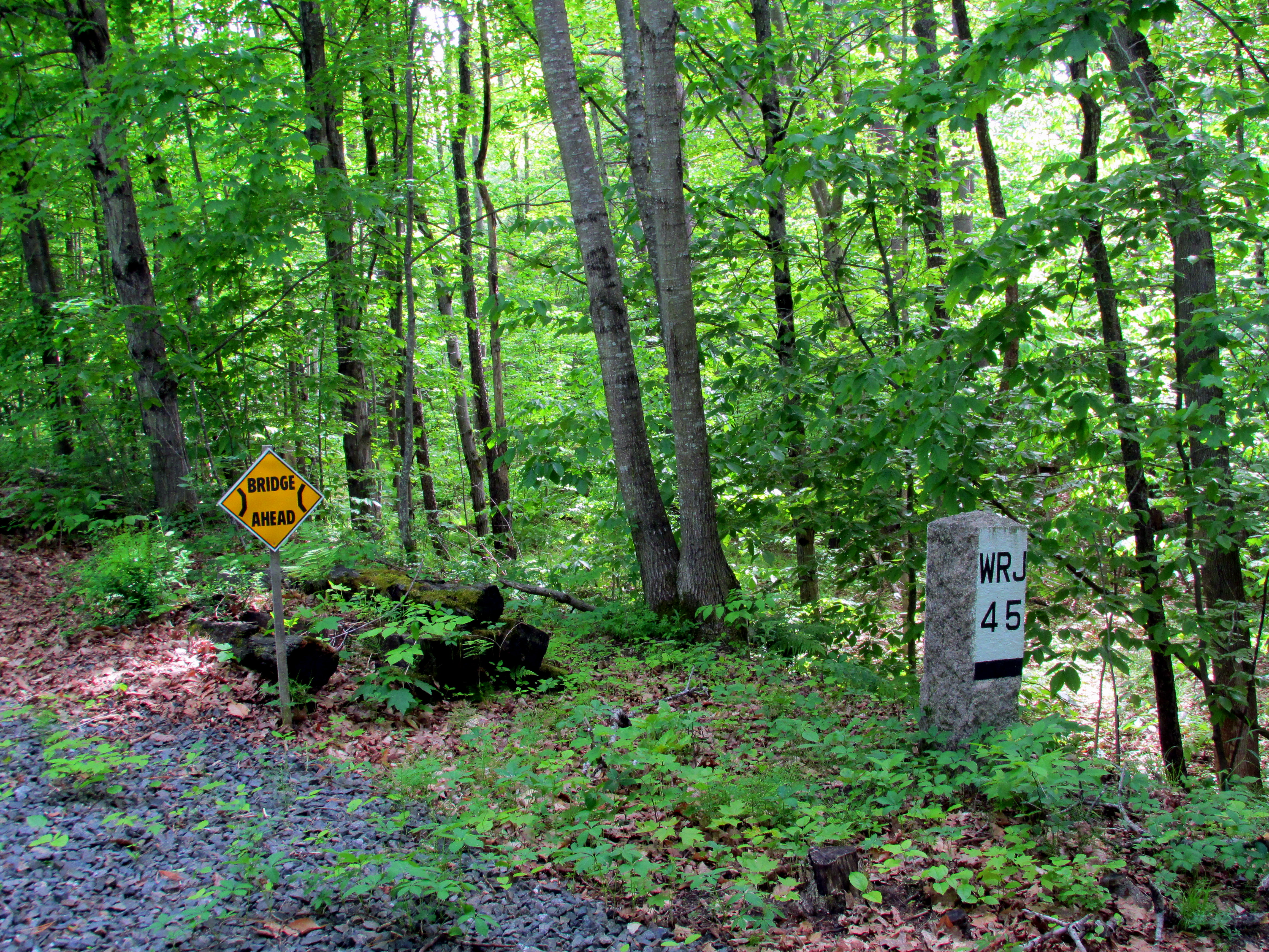 Earth Garden VII: Northern Rail Trail section