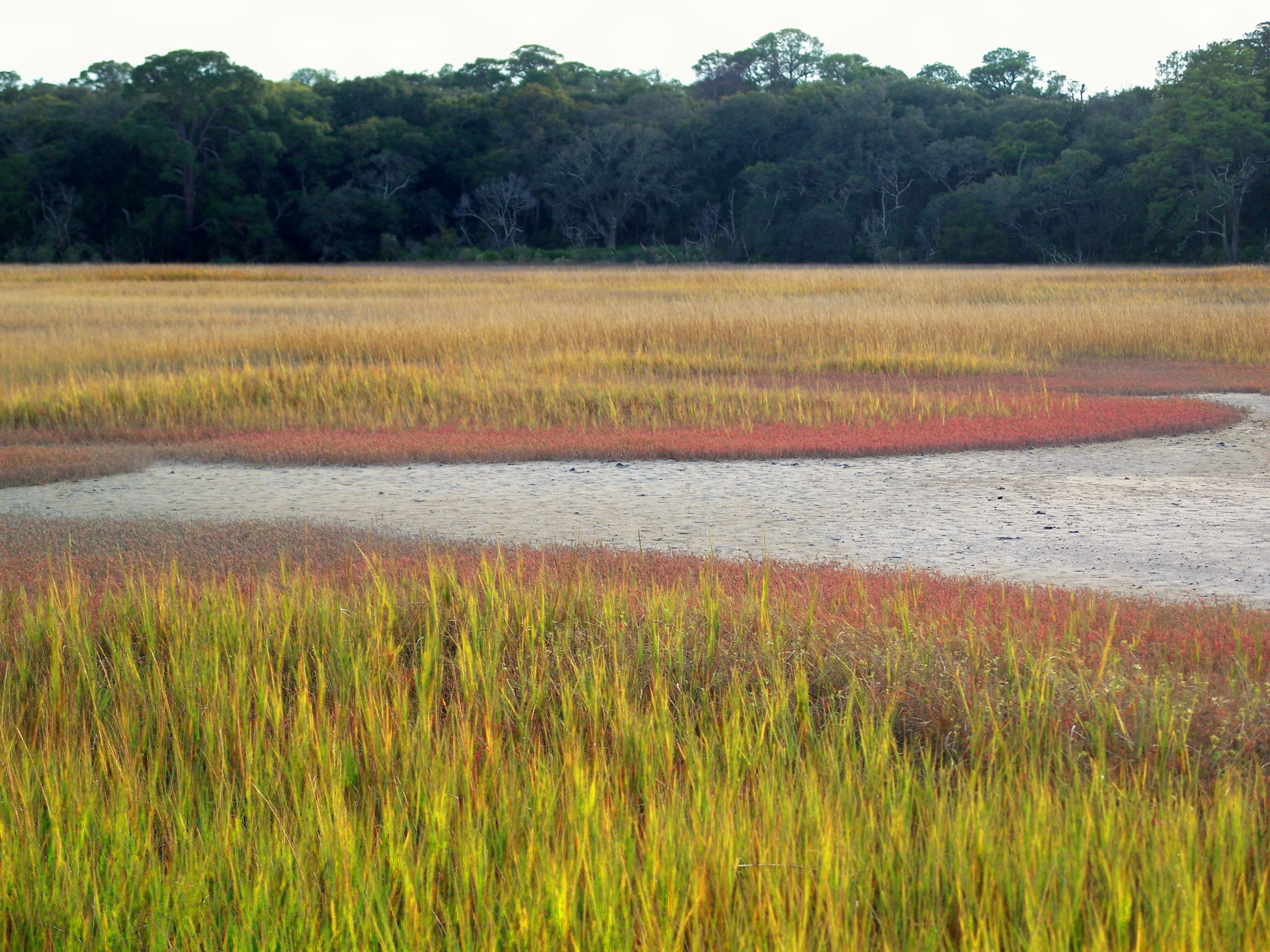 To Stand at the Edge
