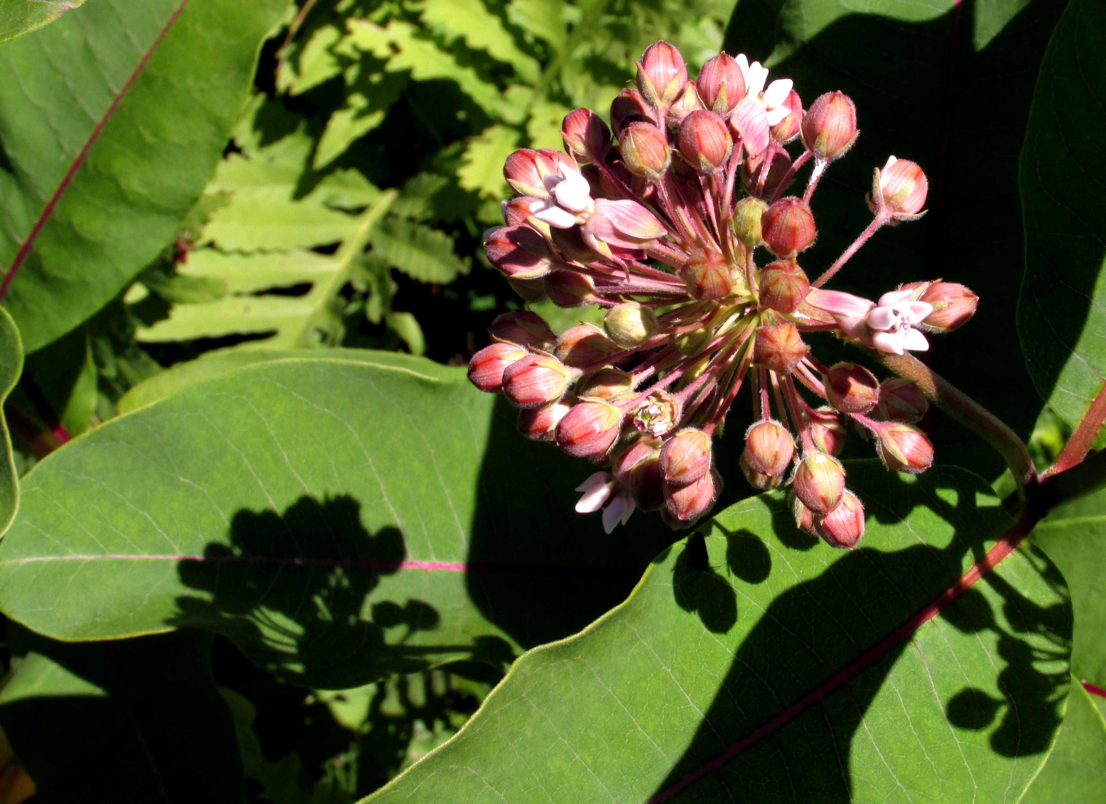 No Lifetime Is Long Enough