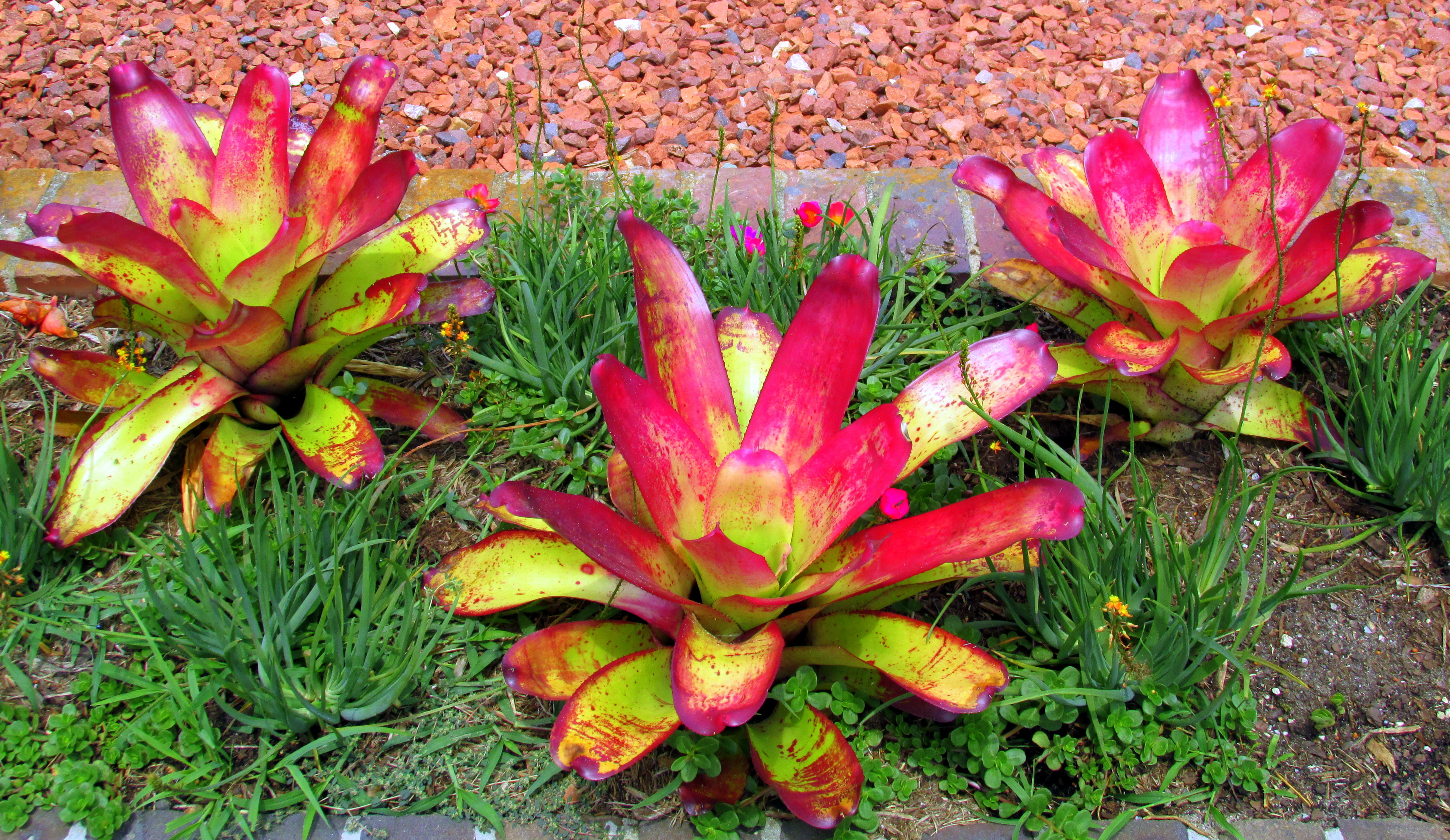 Brookgreen Gardens, Murrells Inlet, SC