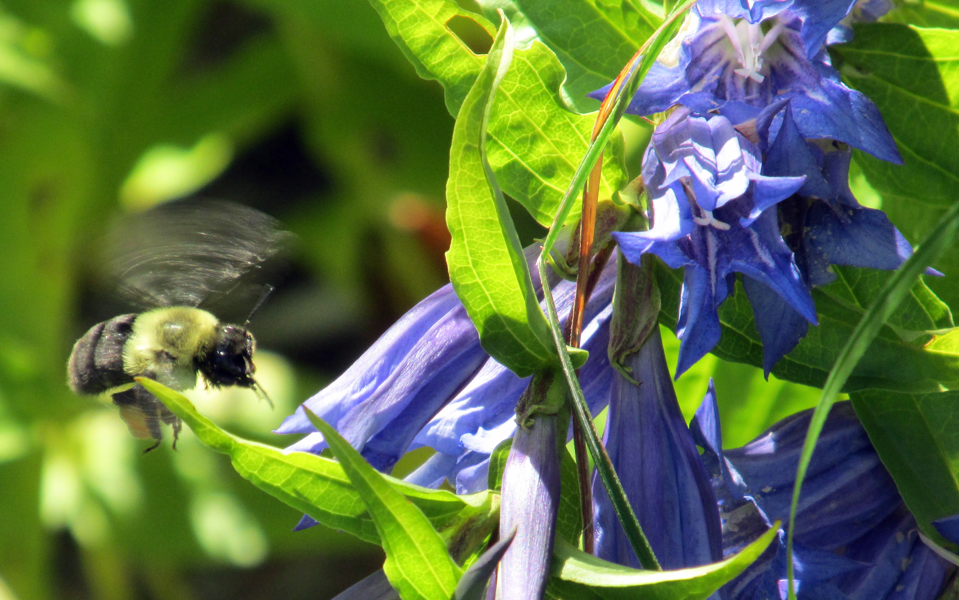 The Density of the Everyday World