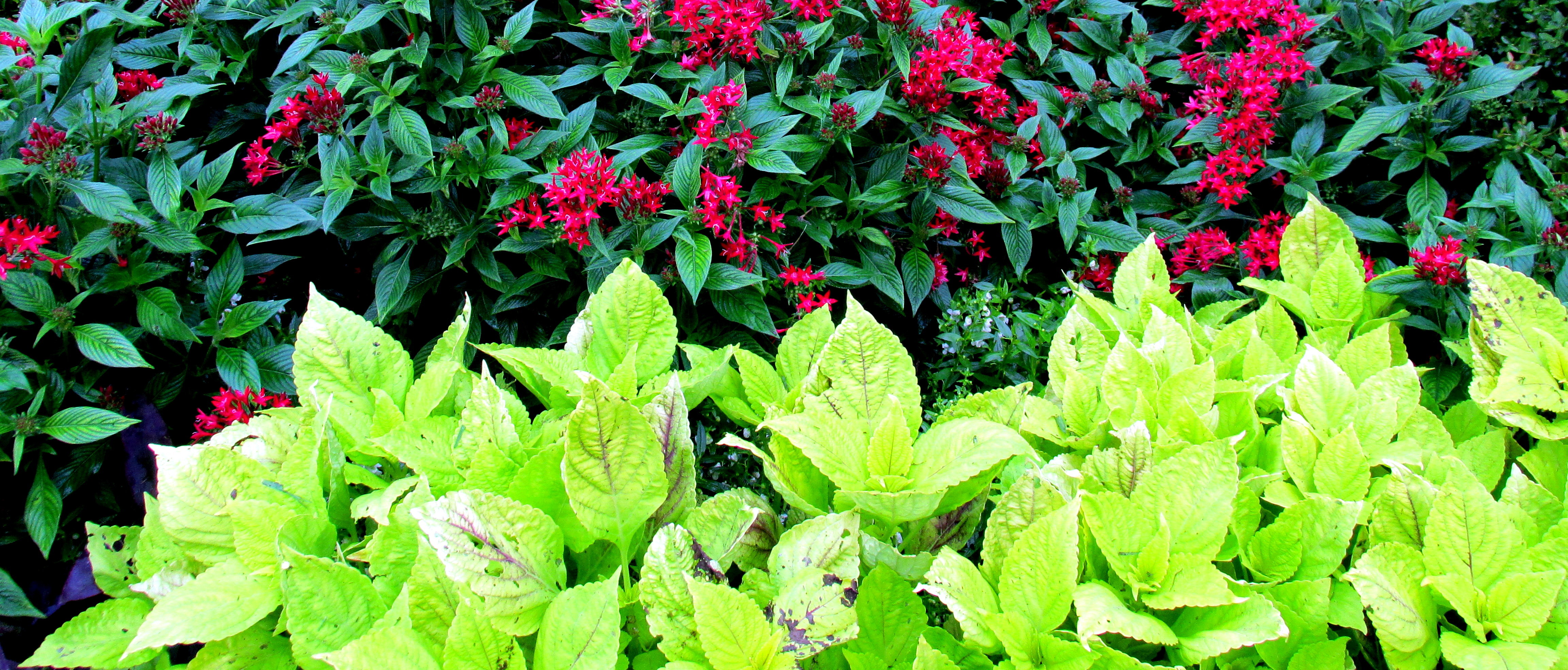 A mood, an atmosphere, a series of limitations, a world