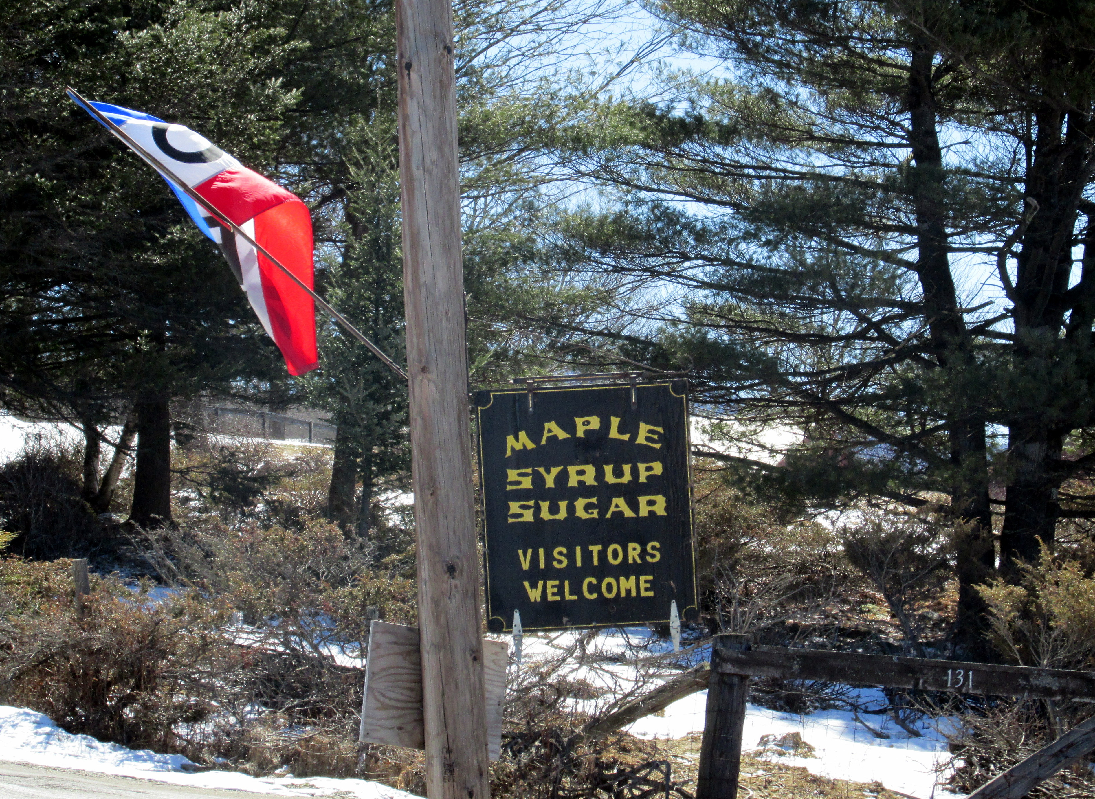 Visit to a Maple Syrup Maker