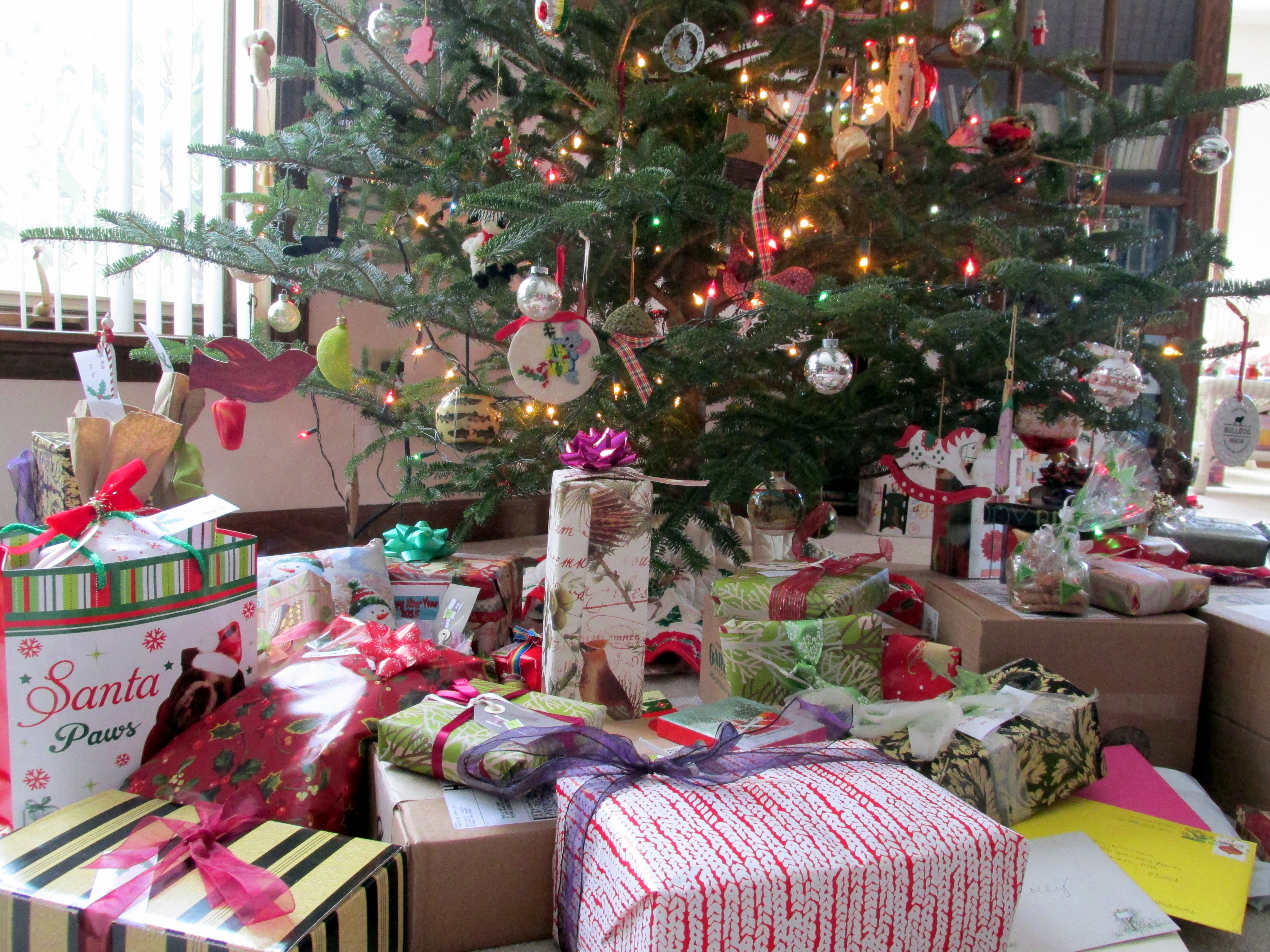 So Venerable a Neighbor