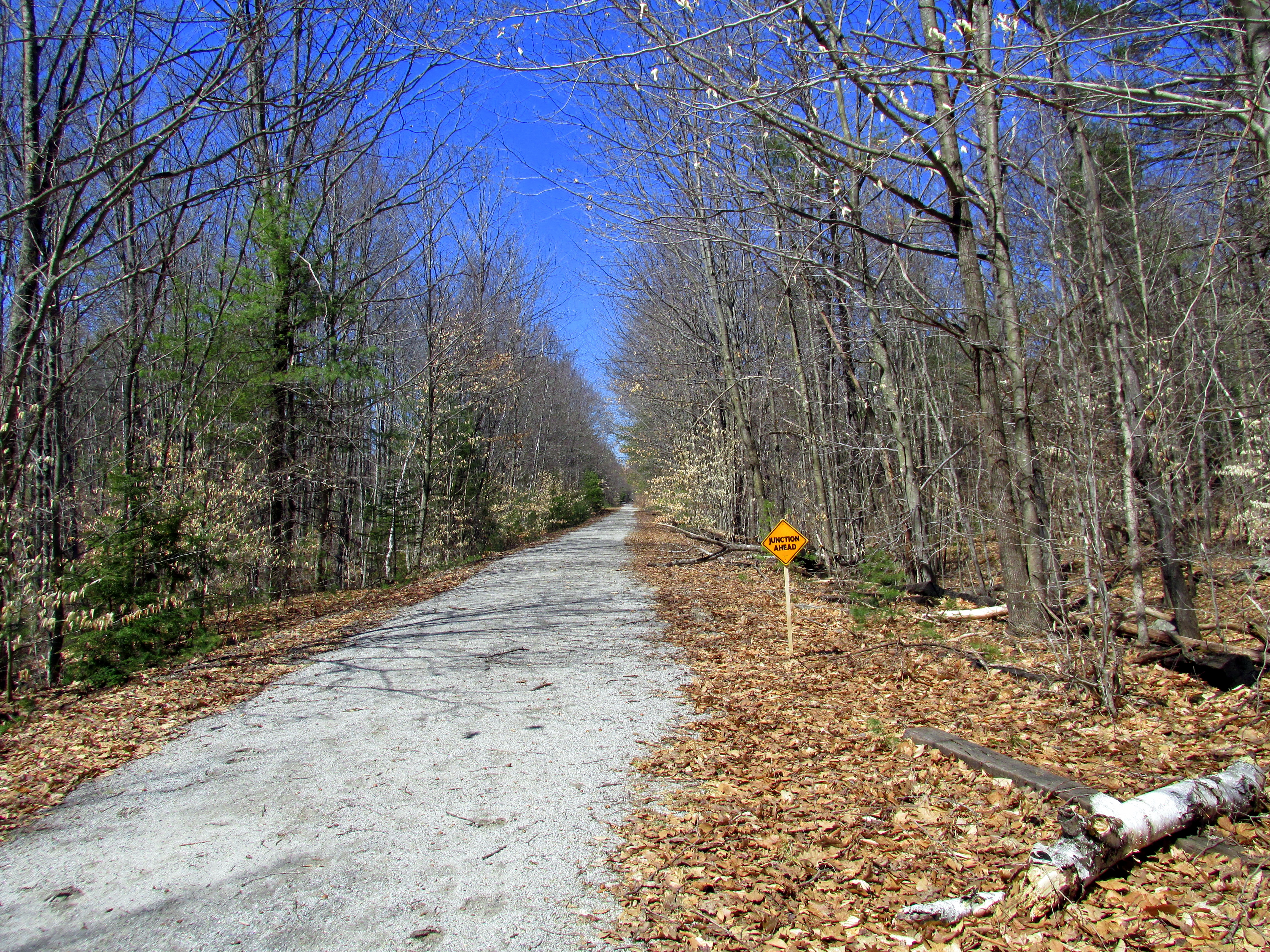 The World Reveals: Earth Garden XIII