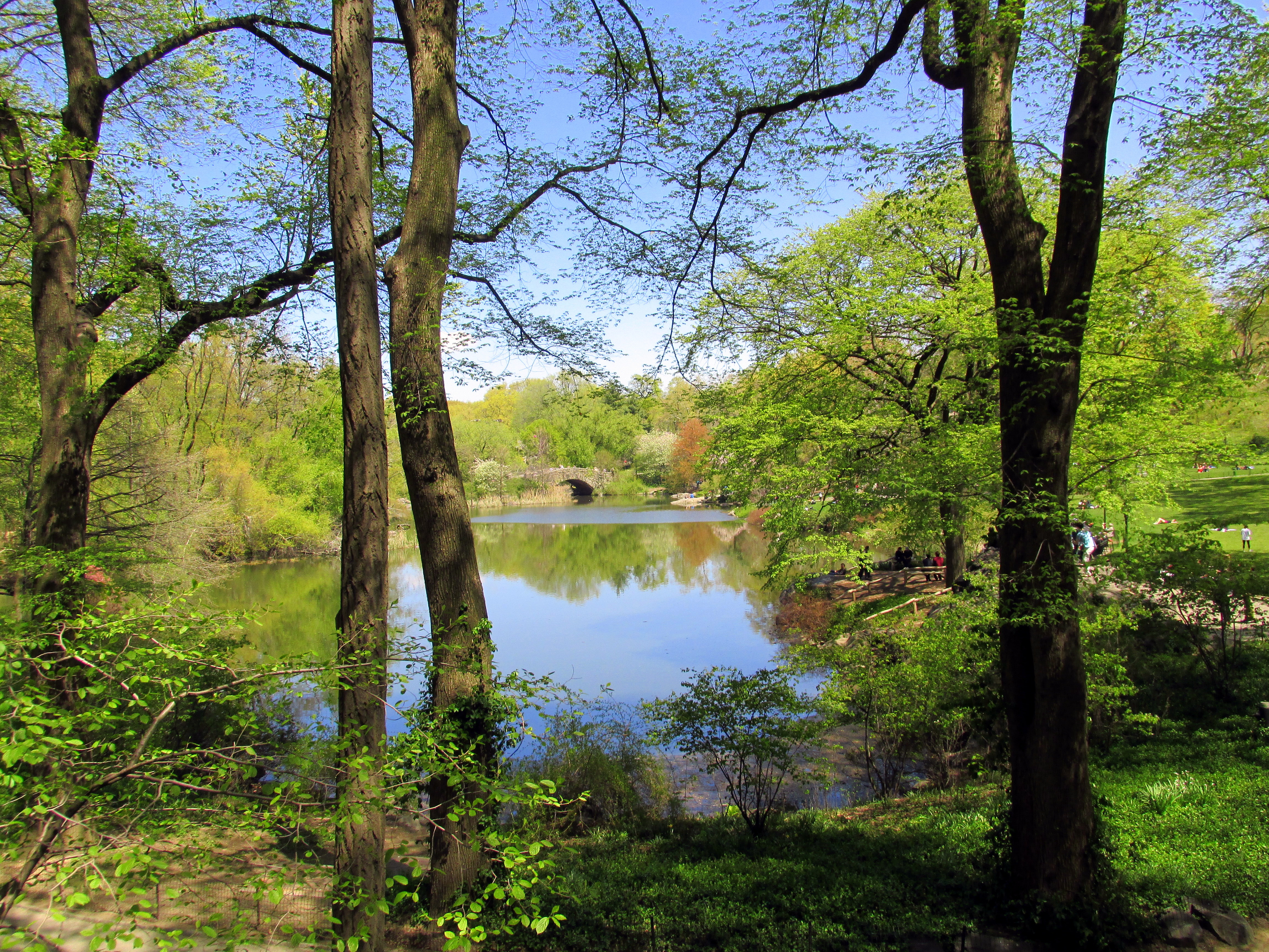 In Central Park, watching folks passing by