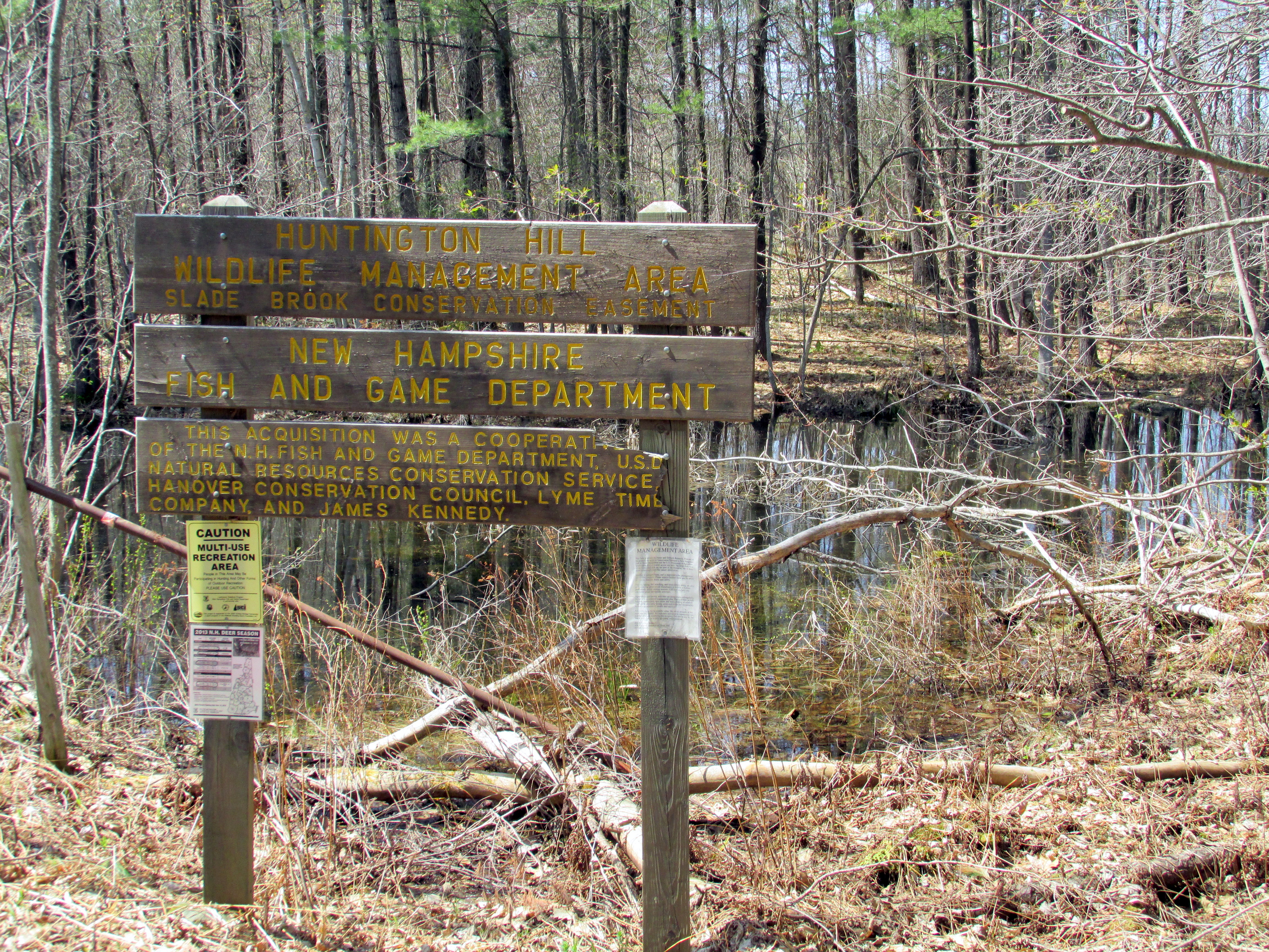 The Clearest Way Into the Universe