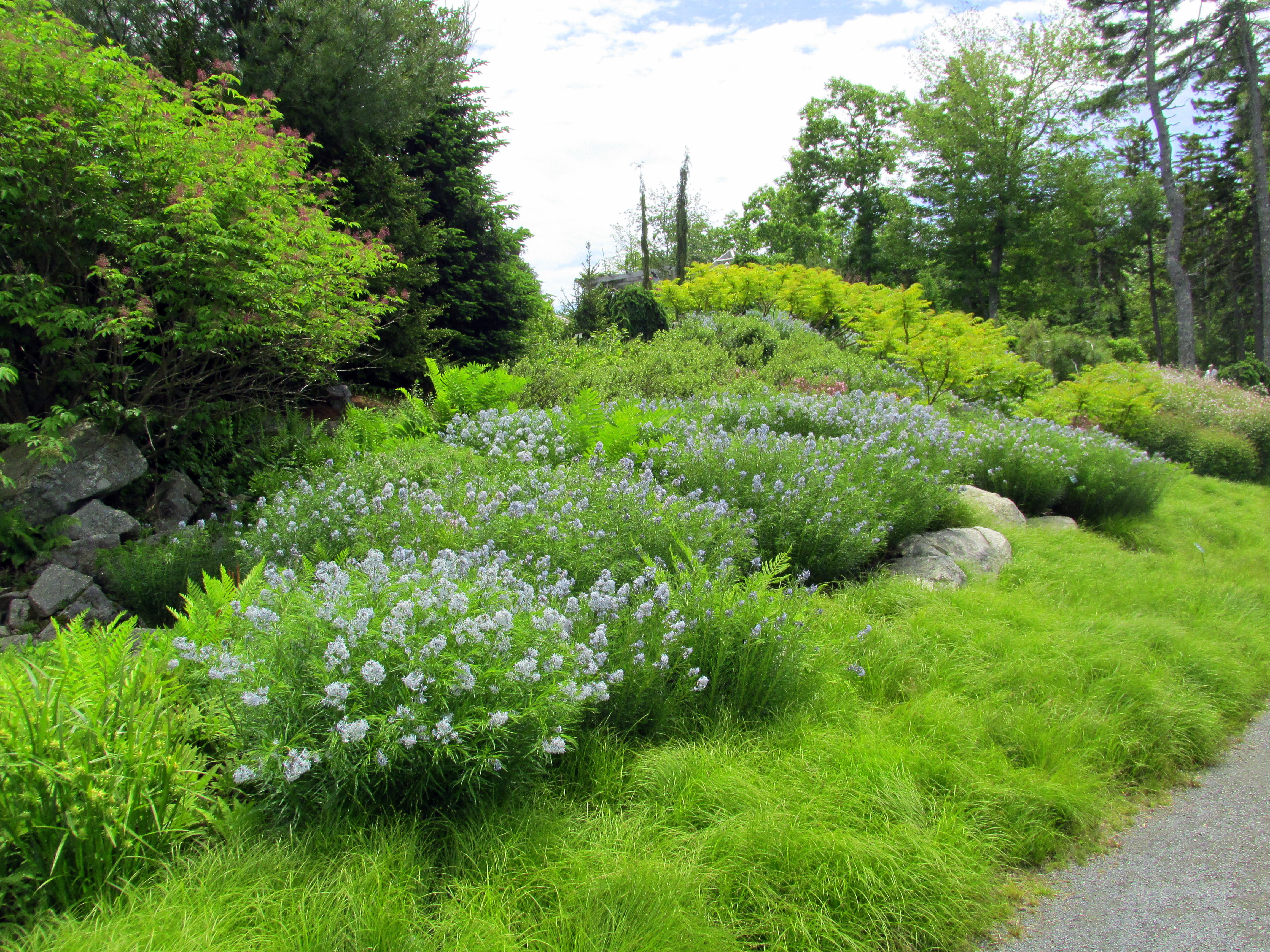 Space to Walk: Coastal Maine Botanical Gardens