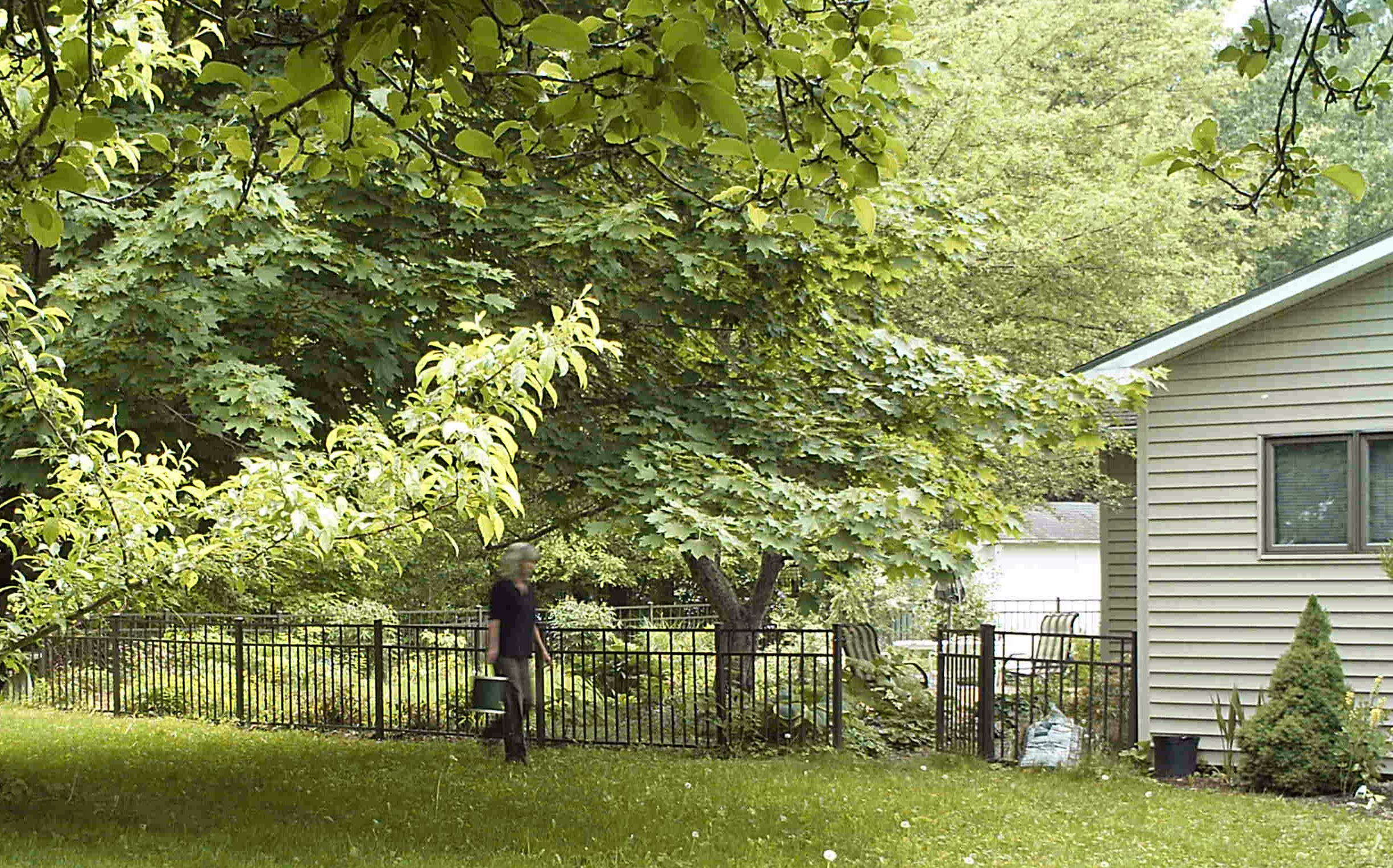 Of micro-weeding, stick cutting, weed mimicry, and willow salvaging