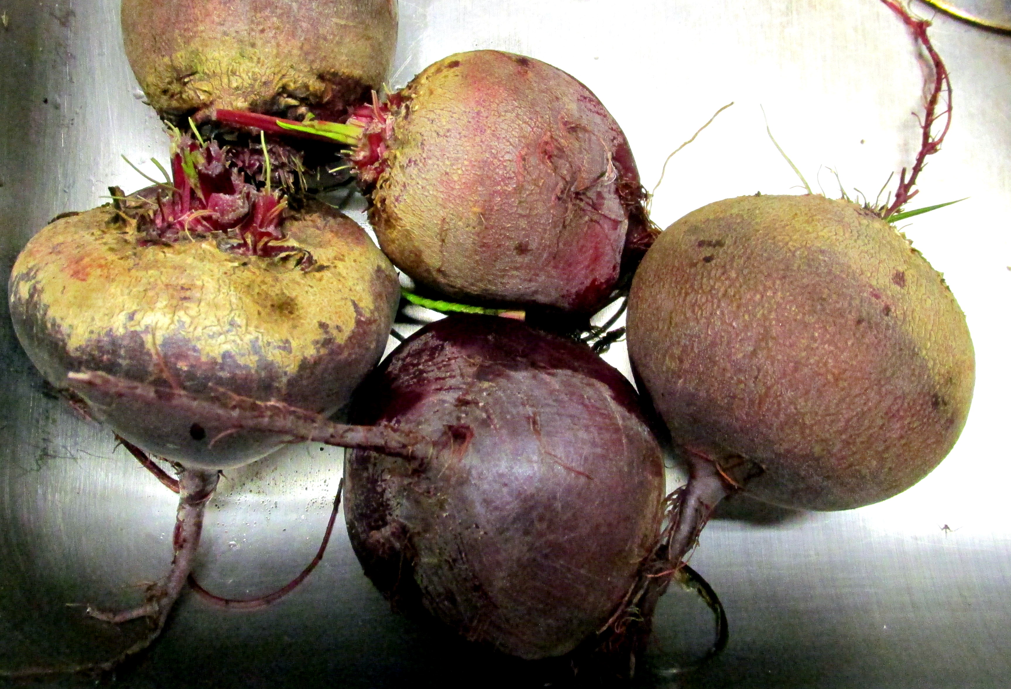 My Vegetable Progeny