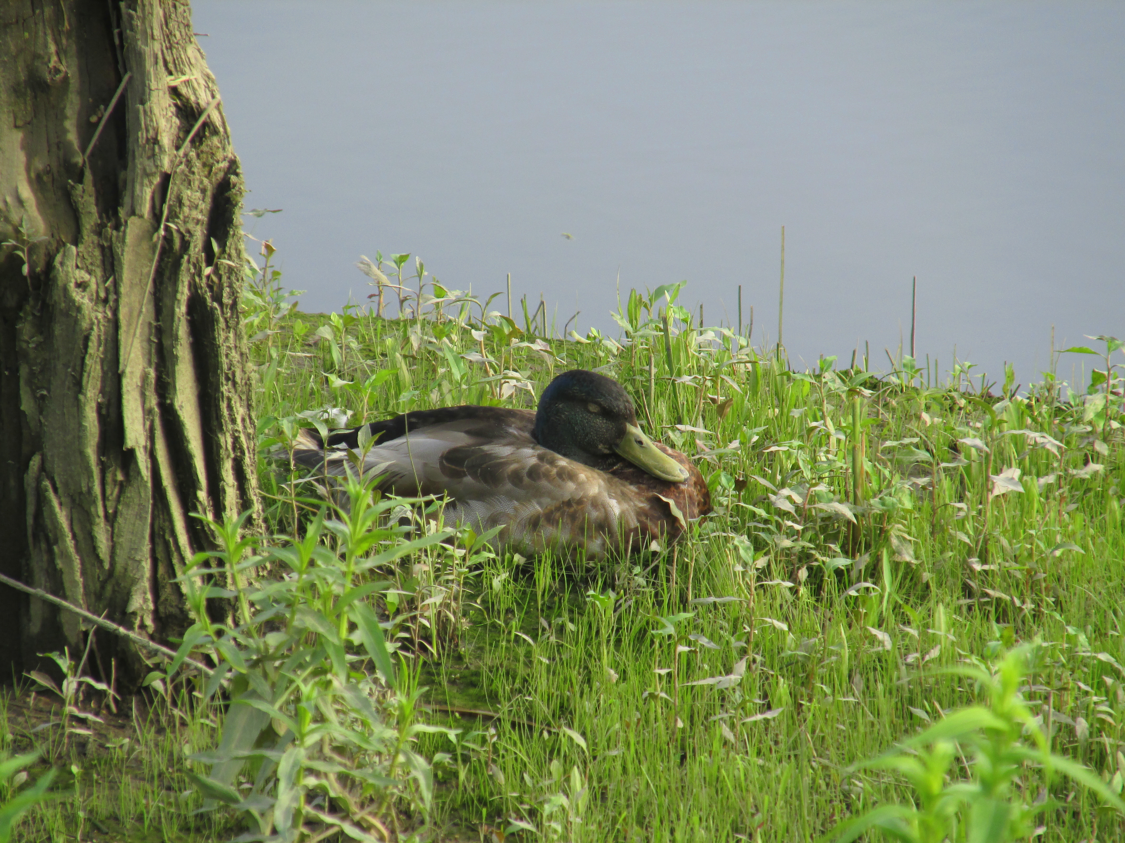 31 Days of A Sense of Place :: Day 1 ~ Start with the Part You are Whole in