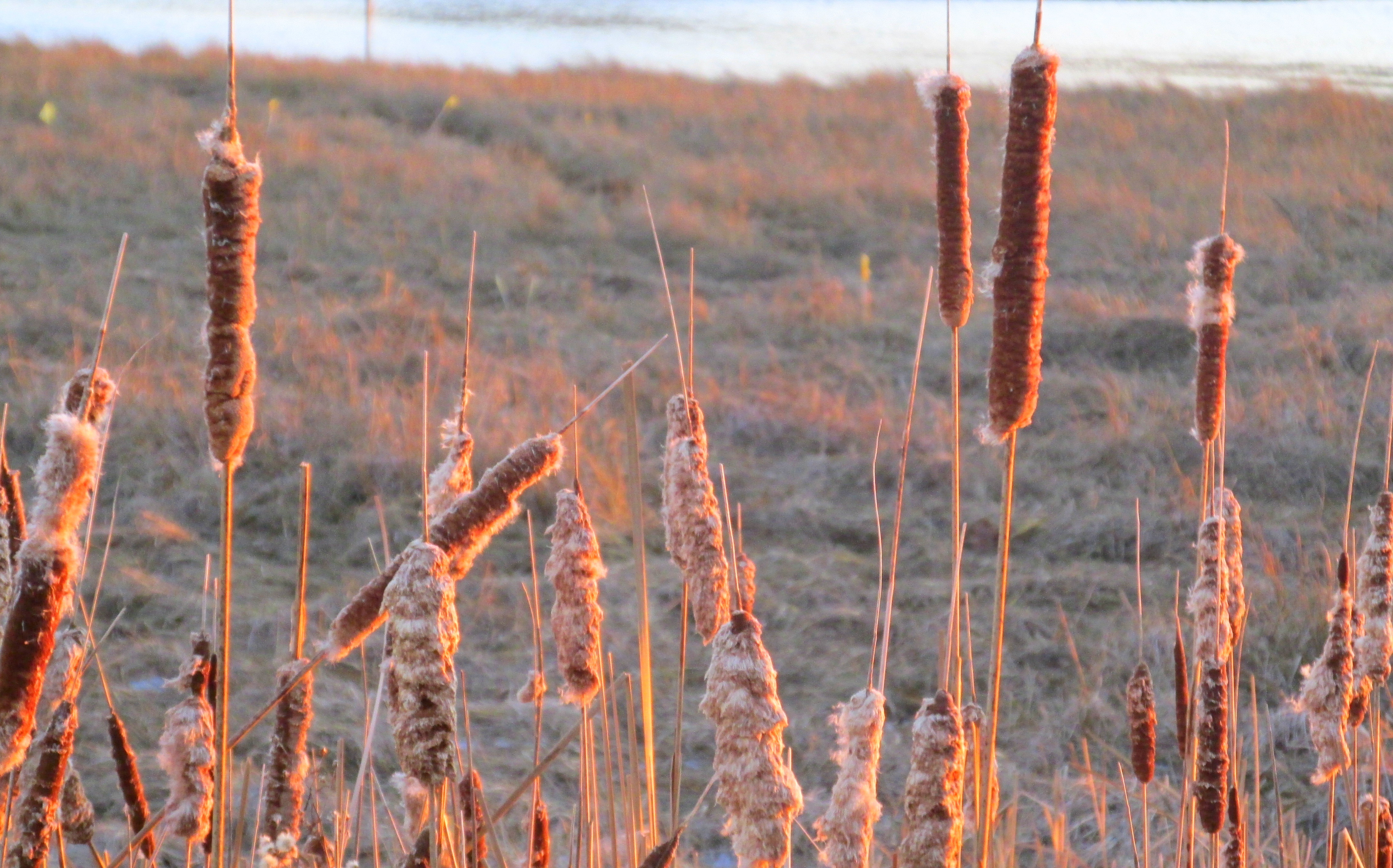 31 Days of A Sense of Place :: Day 20 ~ Emptiness at Evening