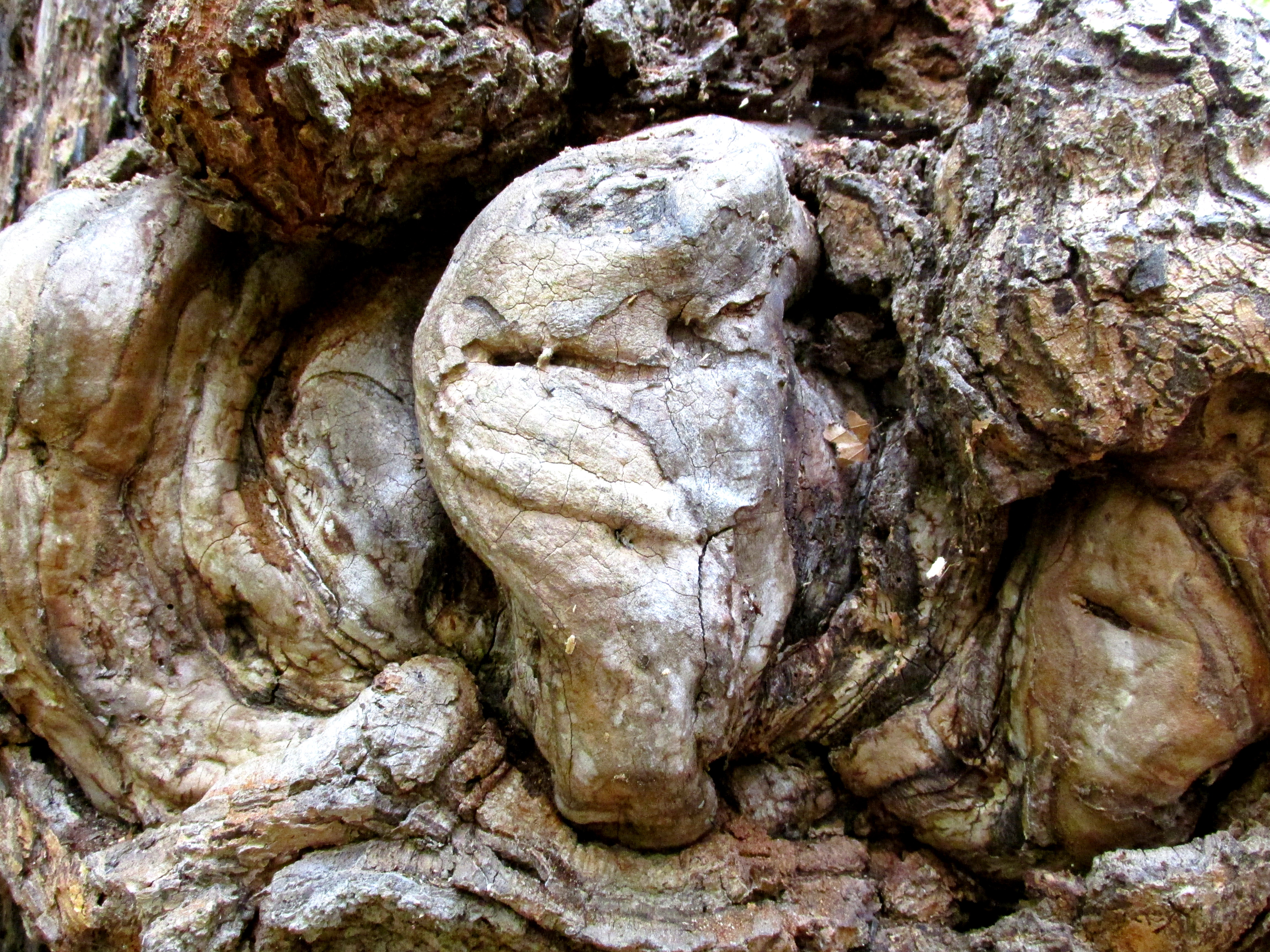 31 Days of A Sense of Place :: Day 15 ~ Sensing Place