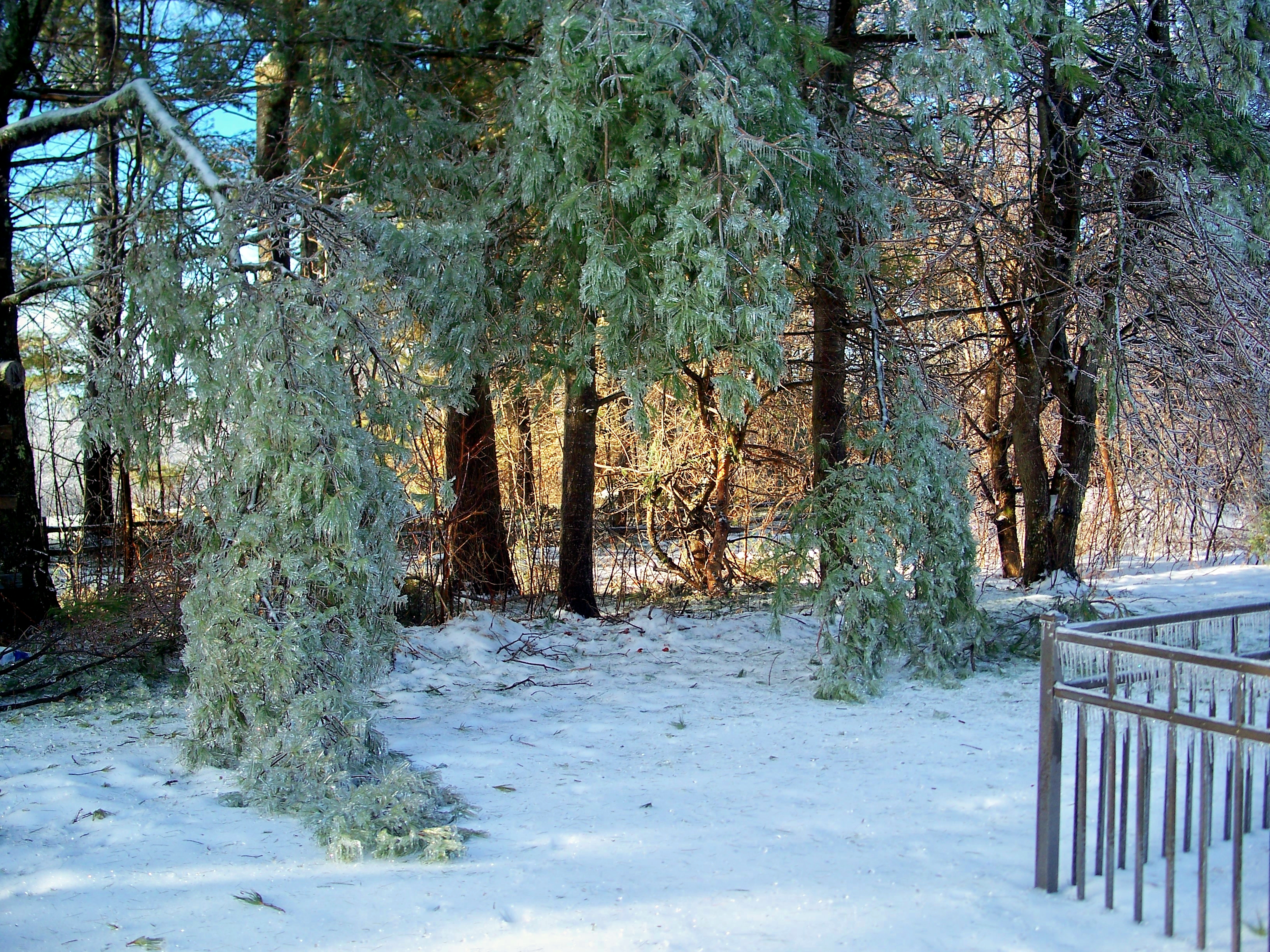 31 Days of A Sense of Place :: Day 8 ~ Wabi-Sabi Spirit