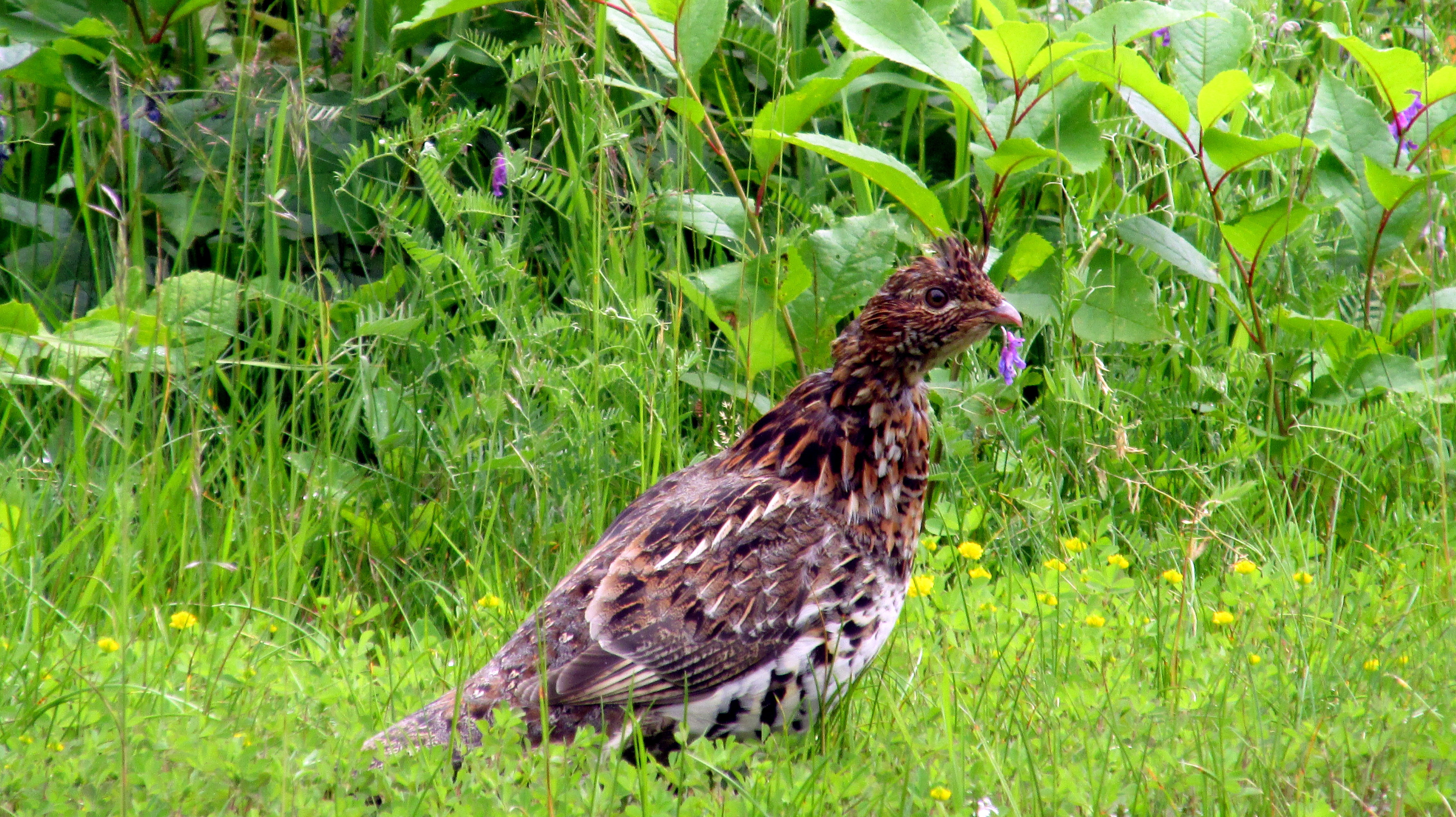 31 Days of A Sense of Place :: Day 7 ~ The Vital Edge