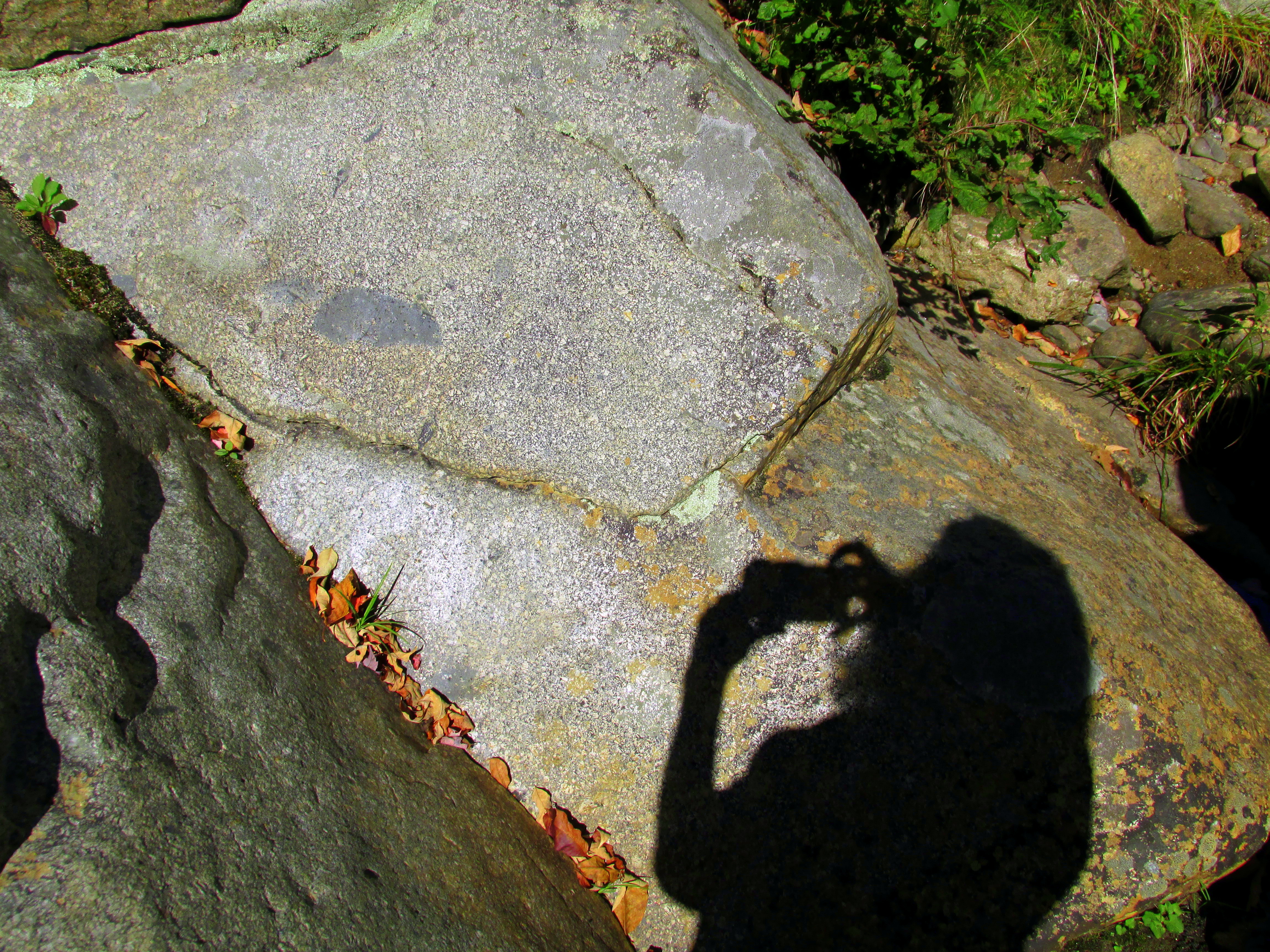 31 Days of A Sense of Place :: Day 28 ~ Living on Holocene Time