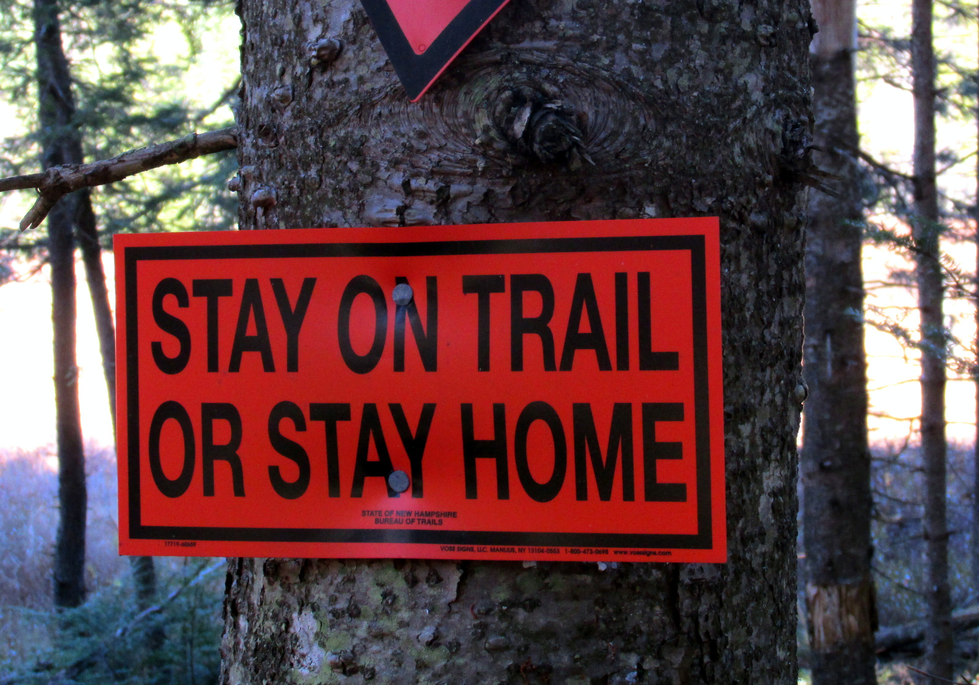 31 Days of A Sense of Place :: Day 29 ~ Homesick