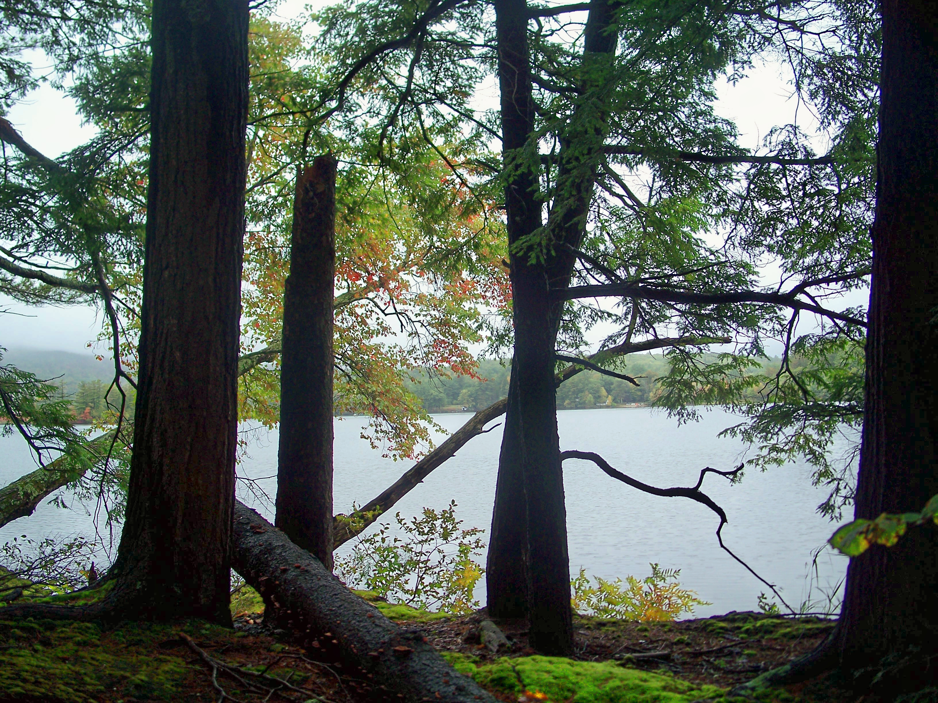 31 Days of A Sense of Place :: Day 11 ~ Field Trip to Kezar Lake, NH