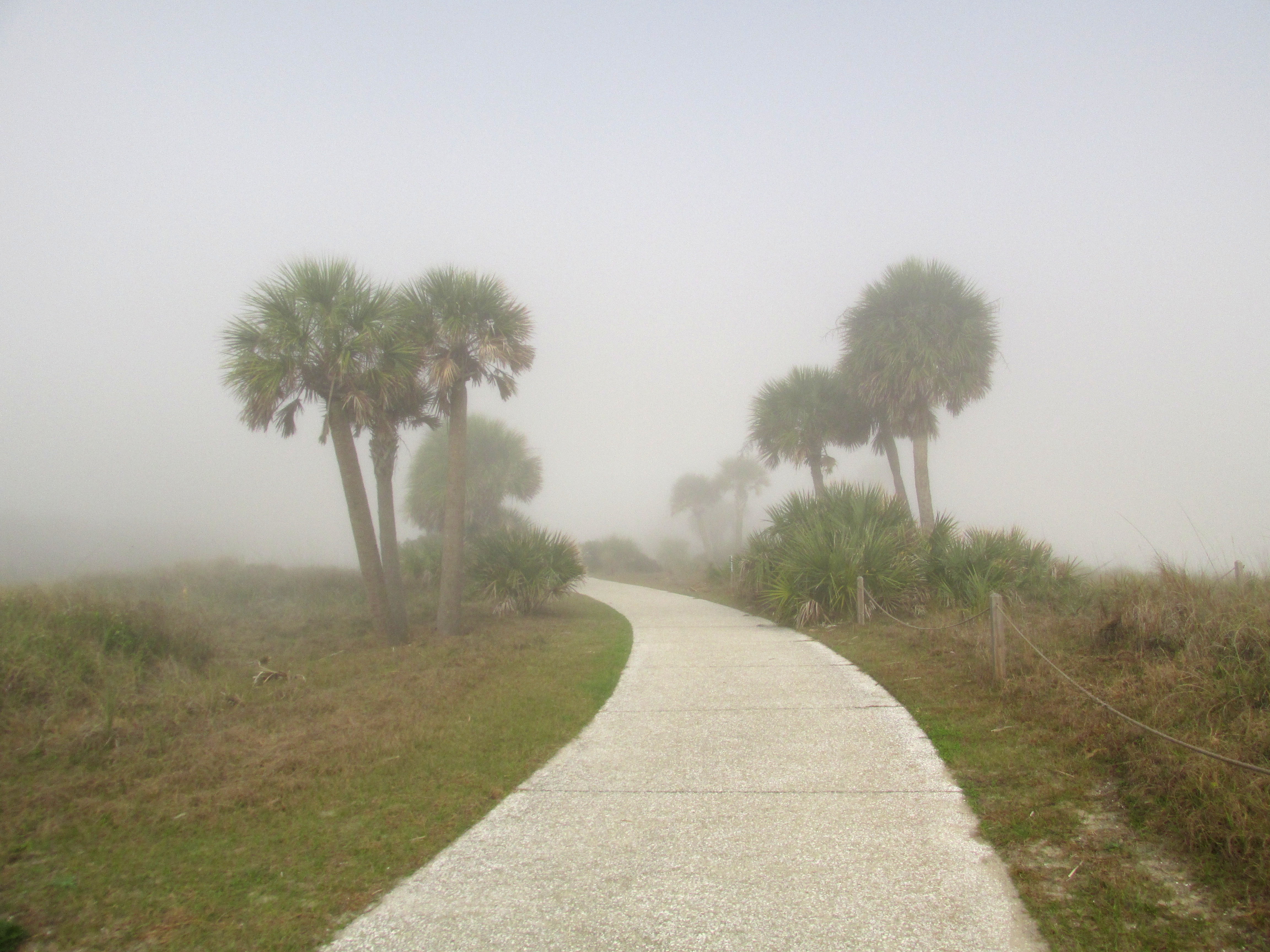My Foggy Christmas Day on Jekyll Island