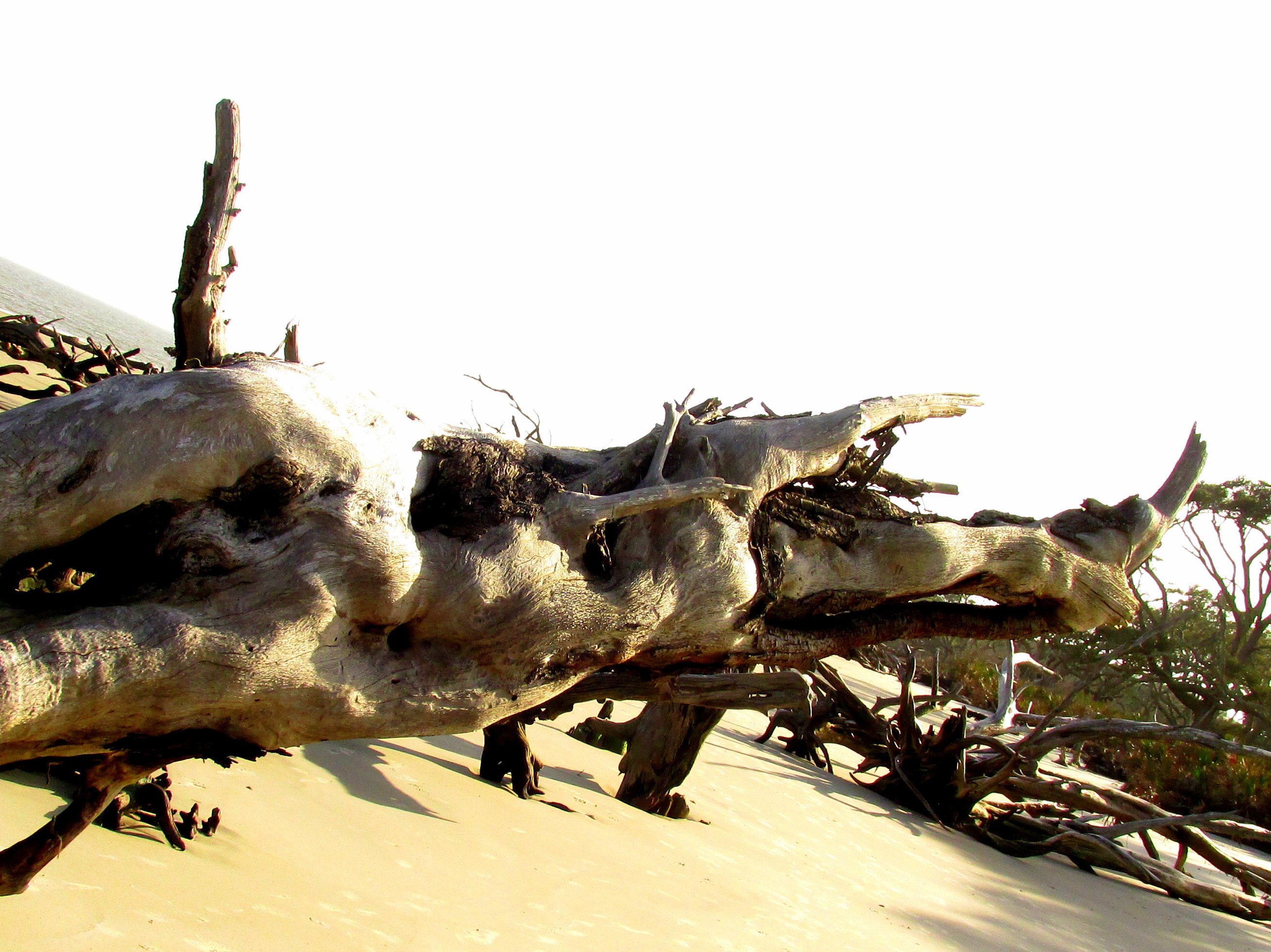 So Tidal Is Its Pull – Jekyll North End