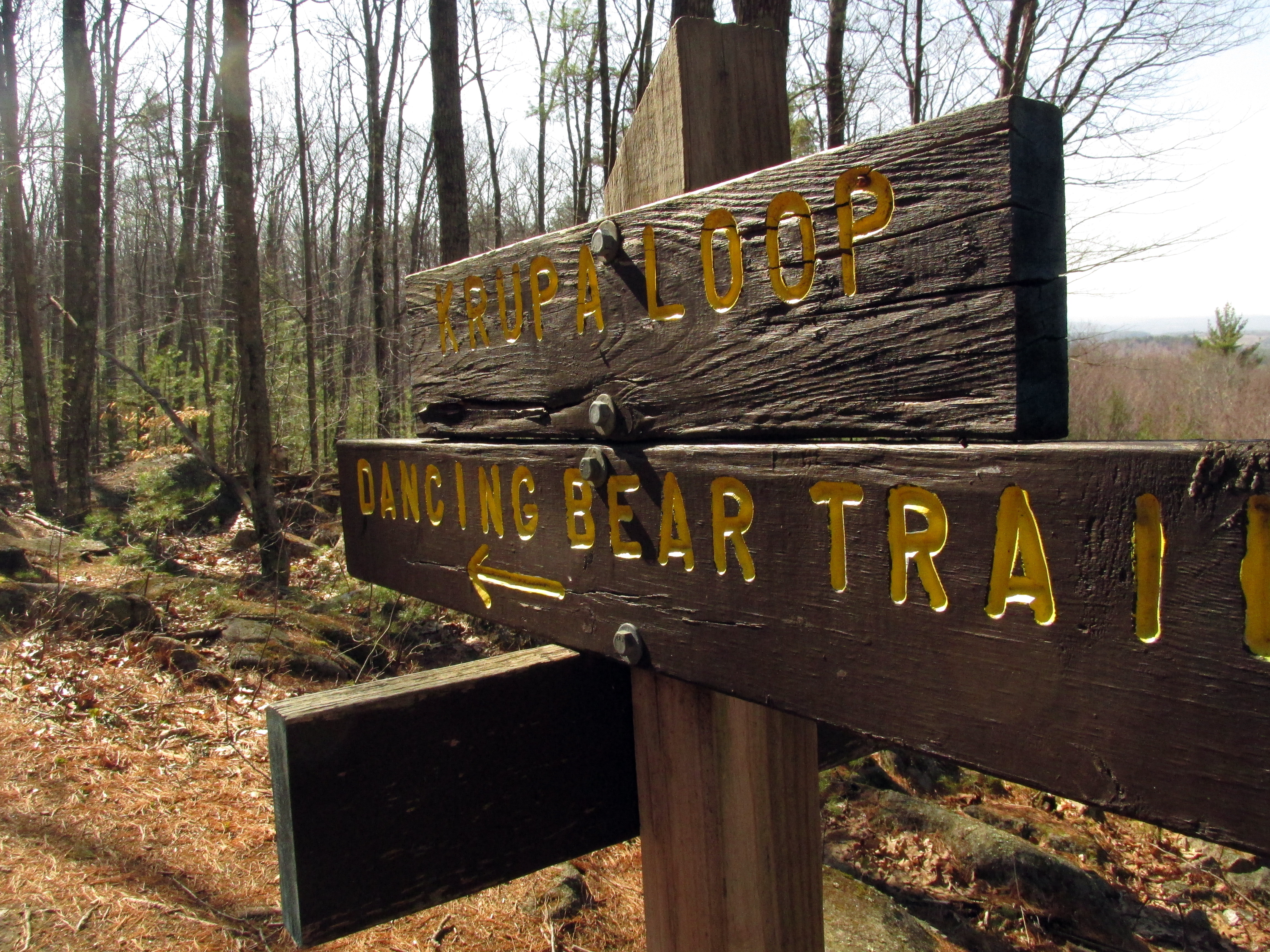 Hopping Down the Wood Frog Trail