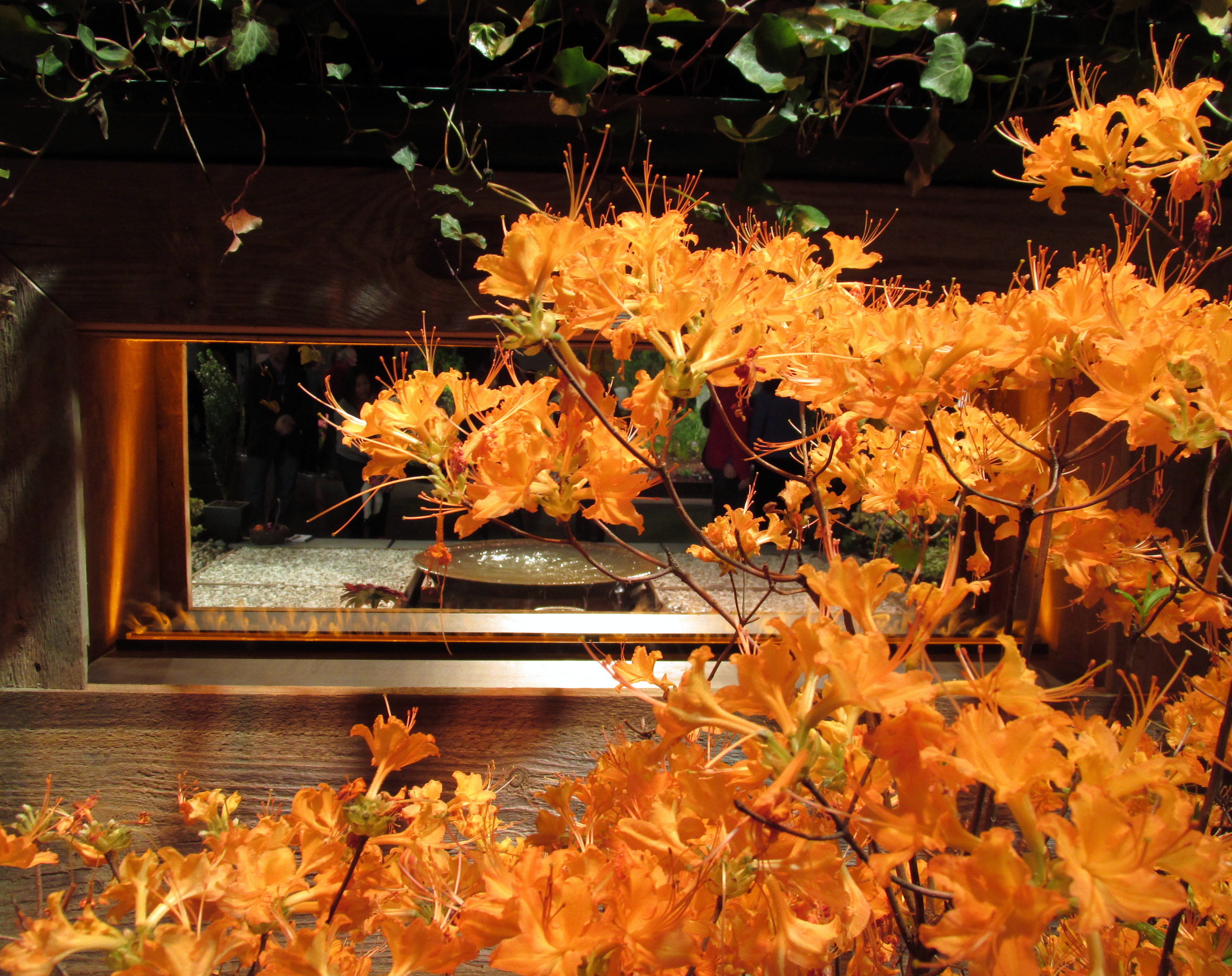 The Boston Flower & Garden Show 2016