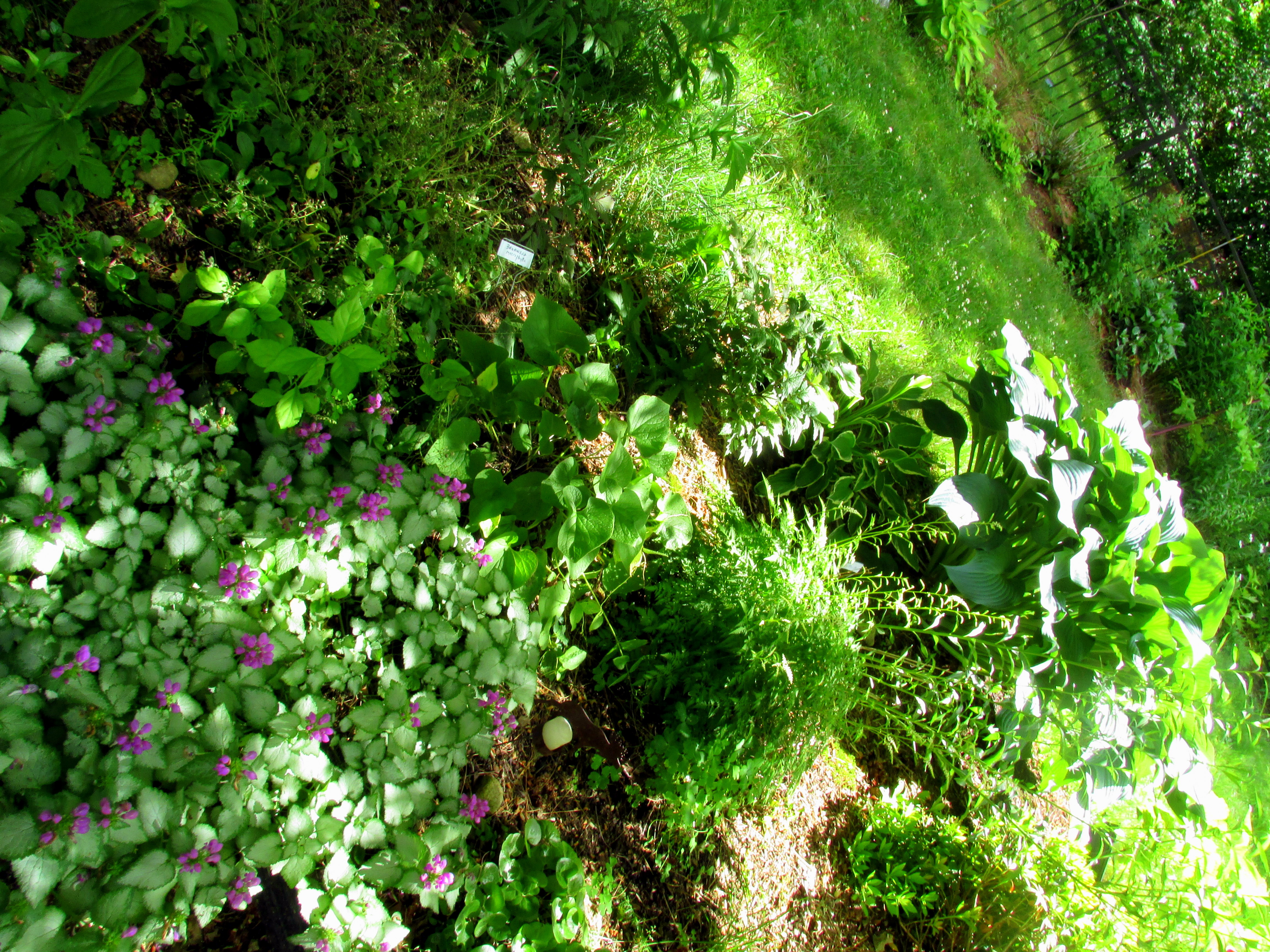 View from the end of the month: June