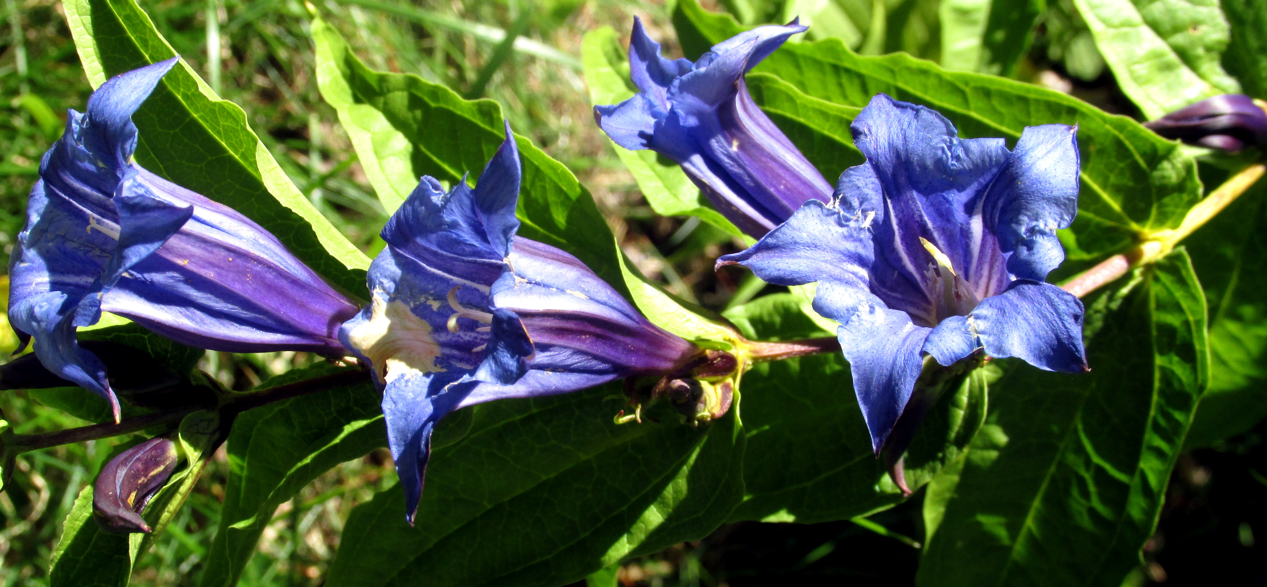 View from the end of the month: August