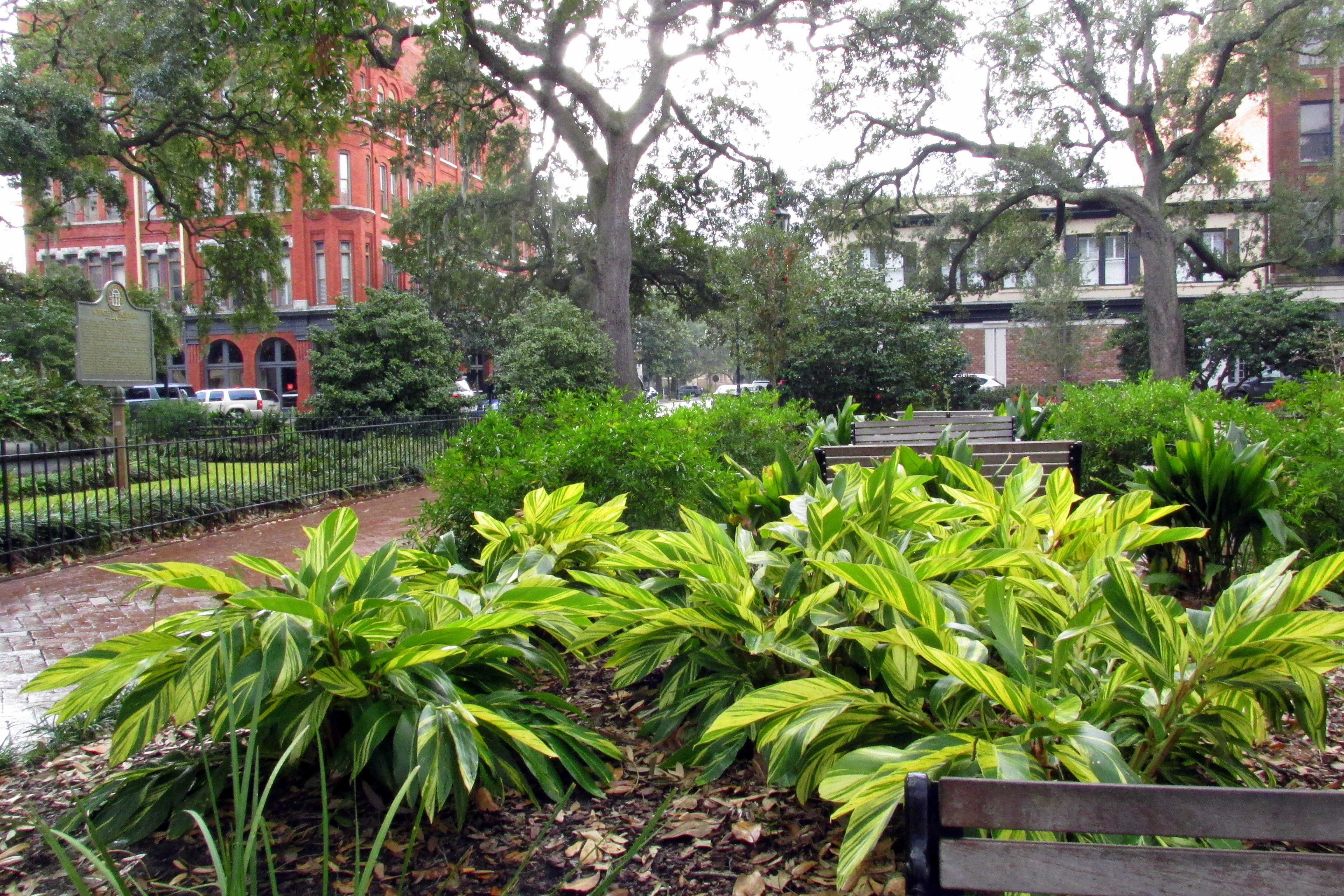 Gardens in Other Climates