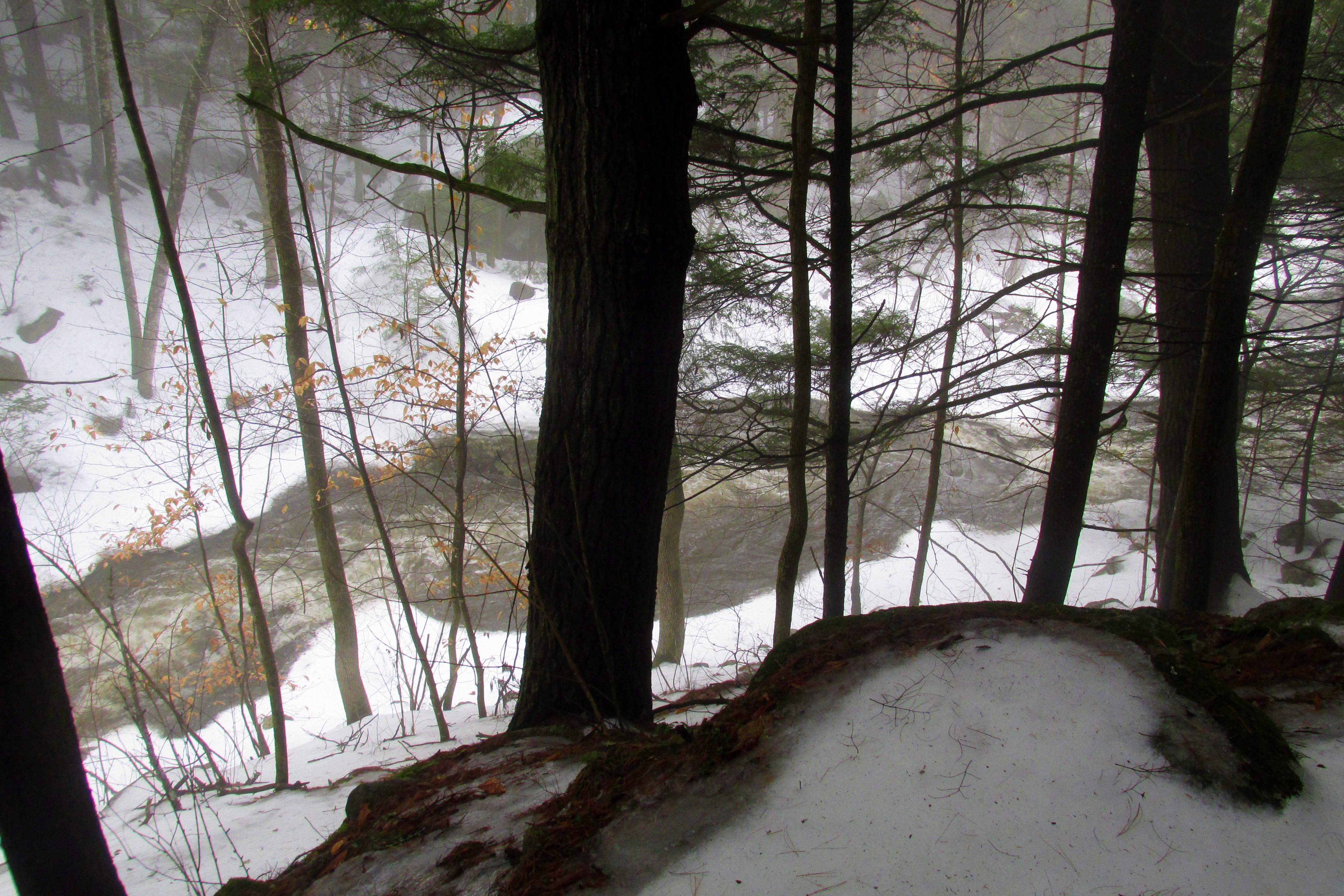 Field Trip in Winter