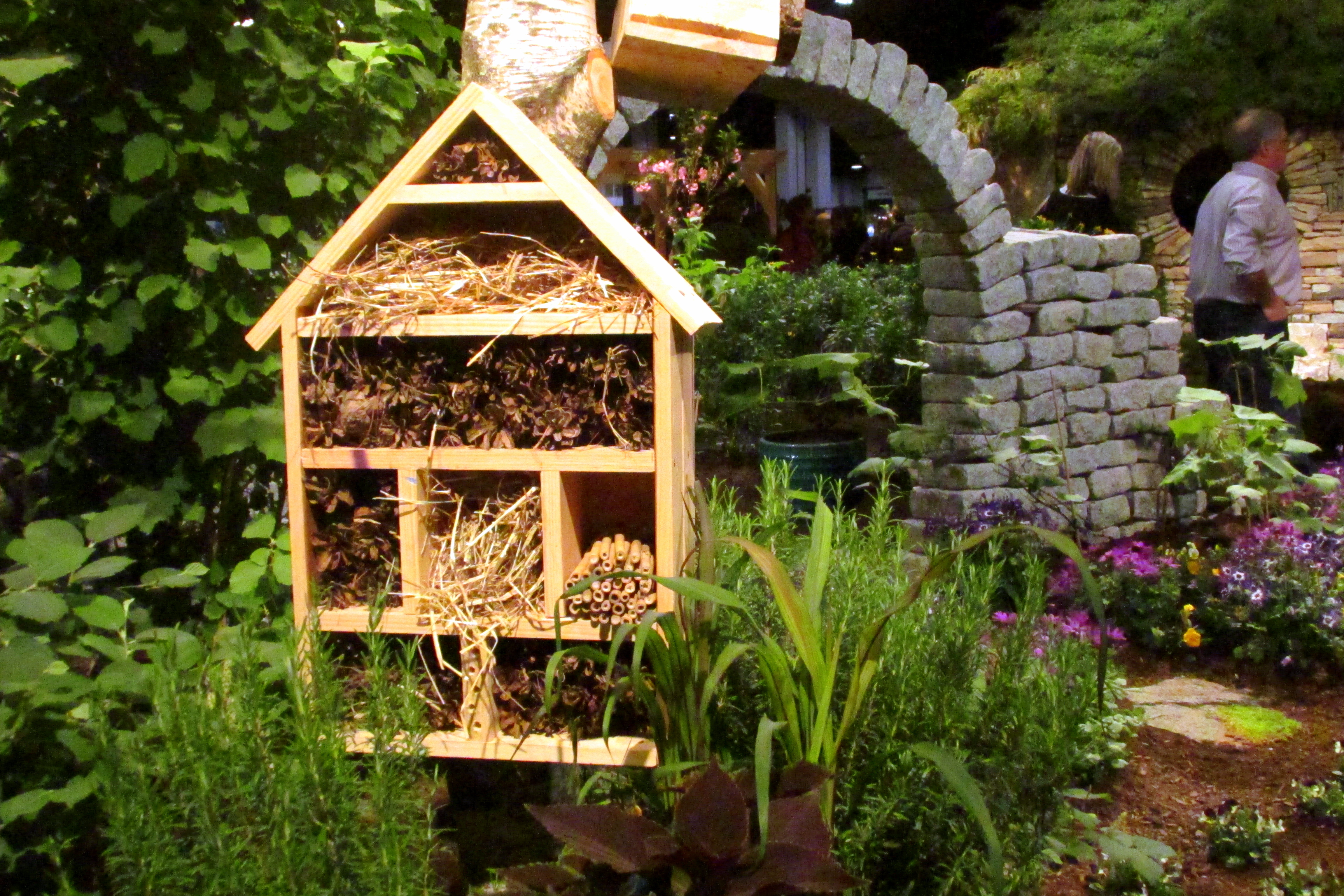 Boston Flower Show: Lectures, Designs, Displays, Plants