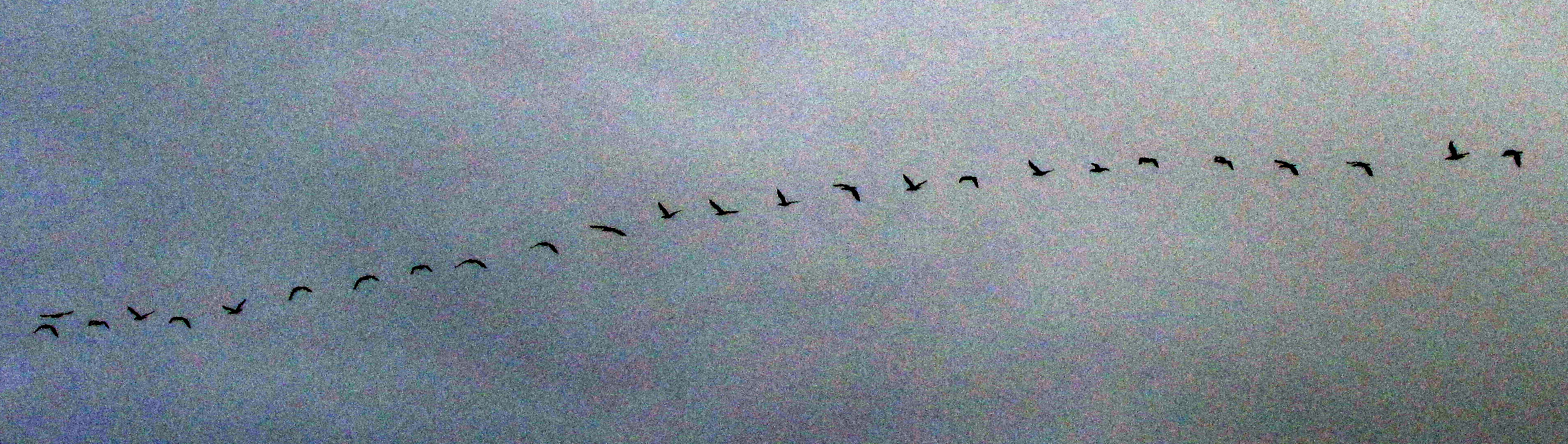 The intersection of impossible worlds