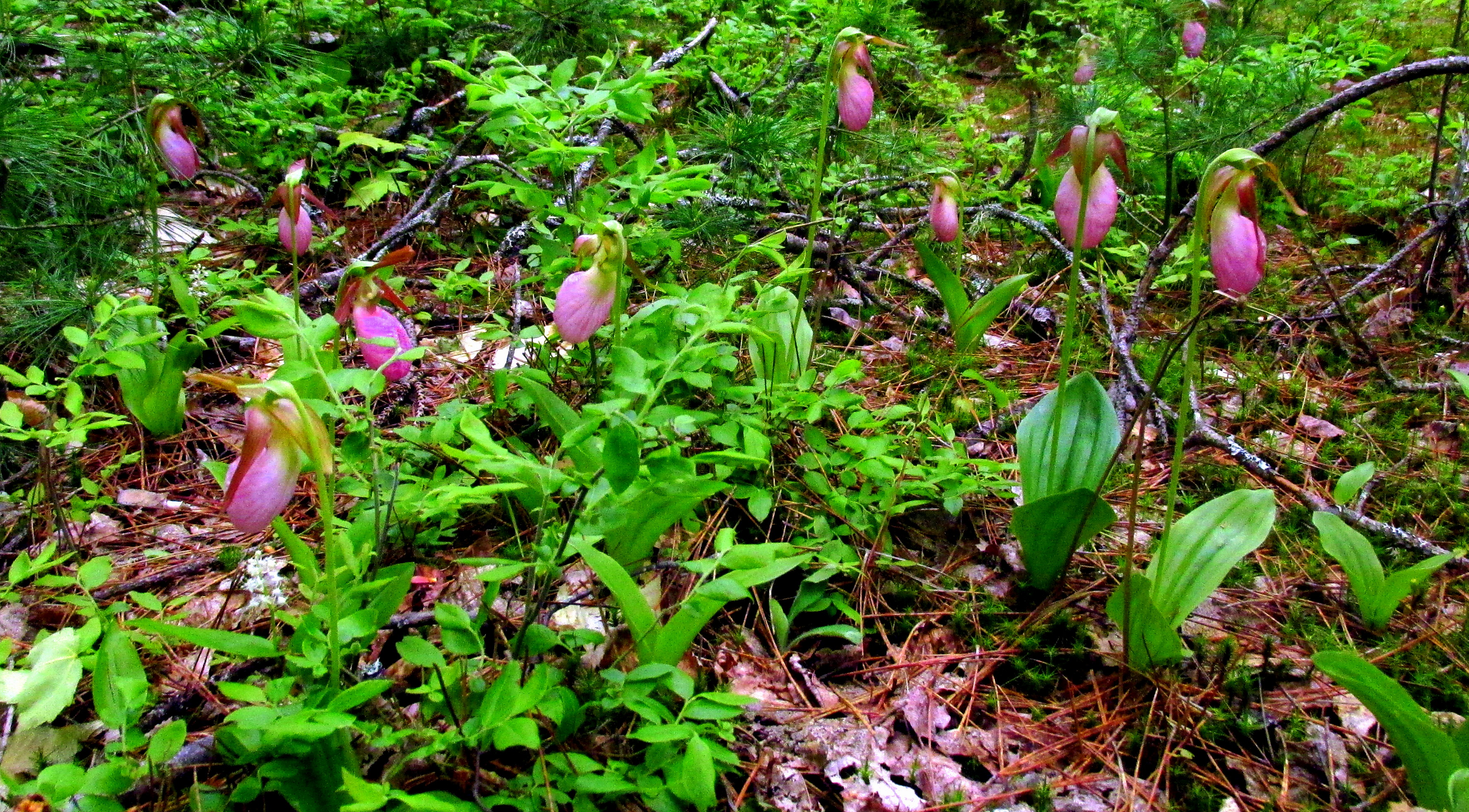 Is It Only What’s Visible That’s Knowable