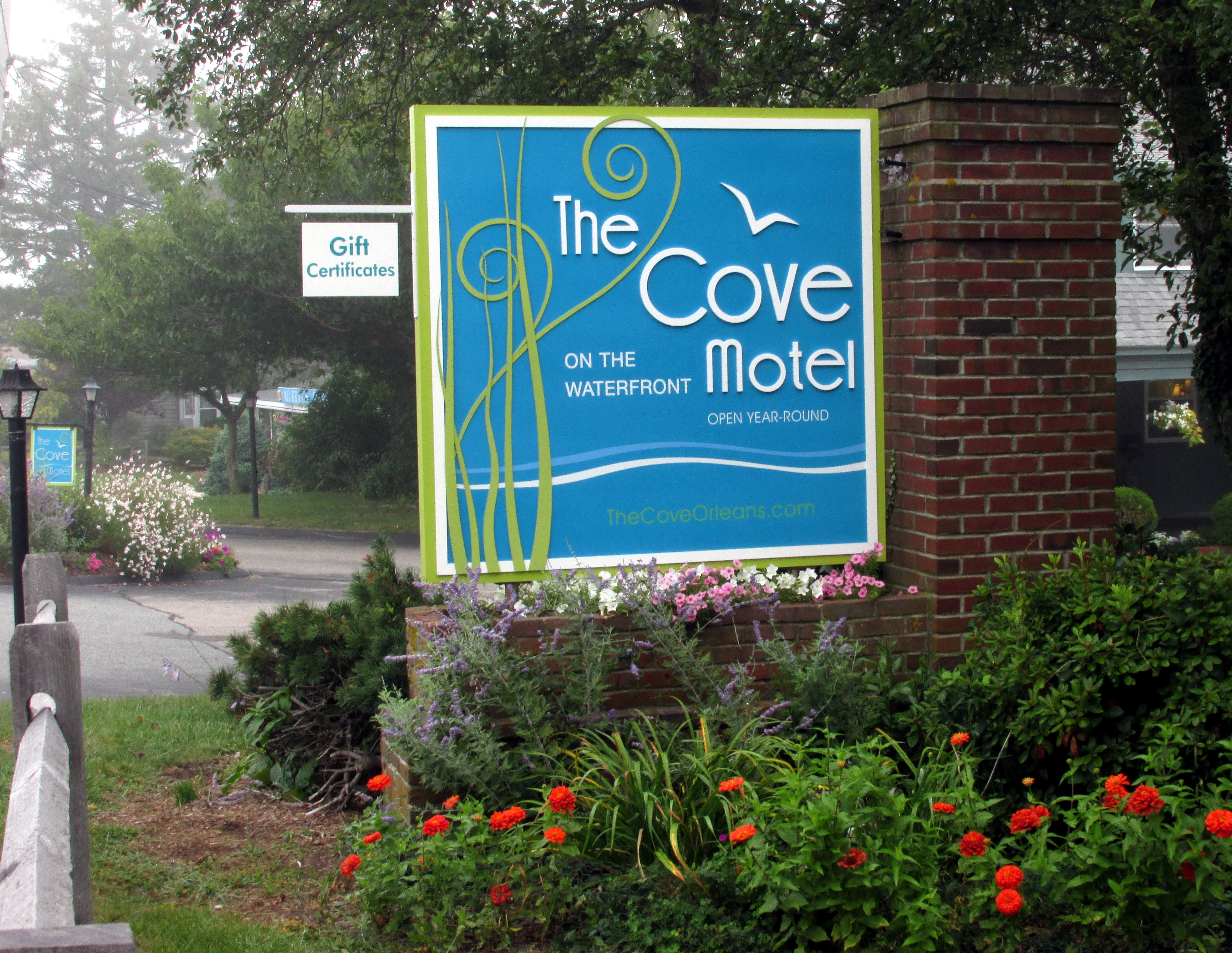 Elephants, Swans, & Monkeys, Oh My!