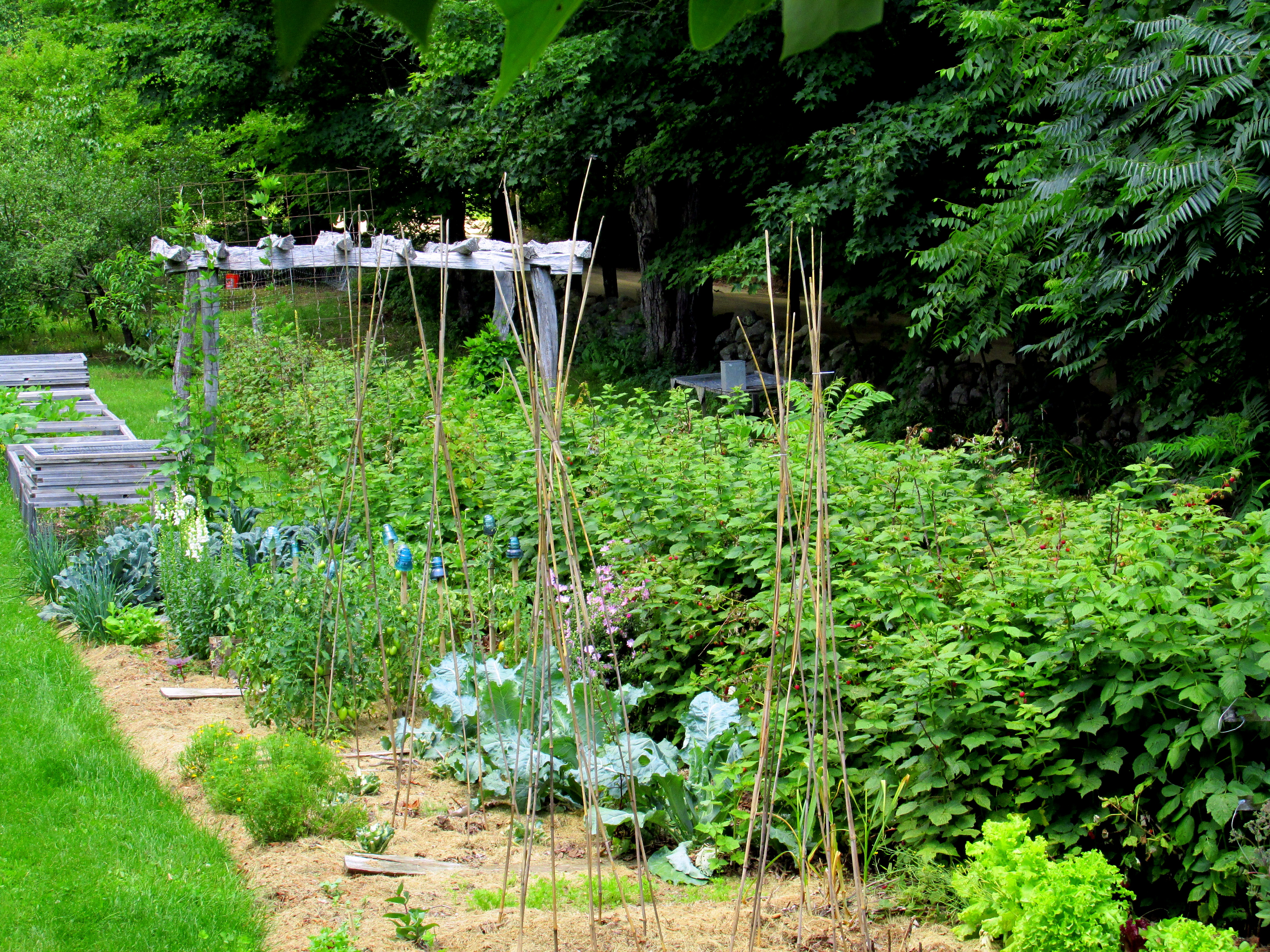 Book Notes: The Permaculture Handbook :: Chapter One