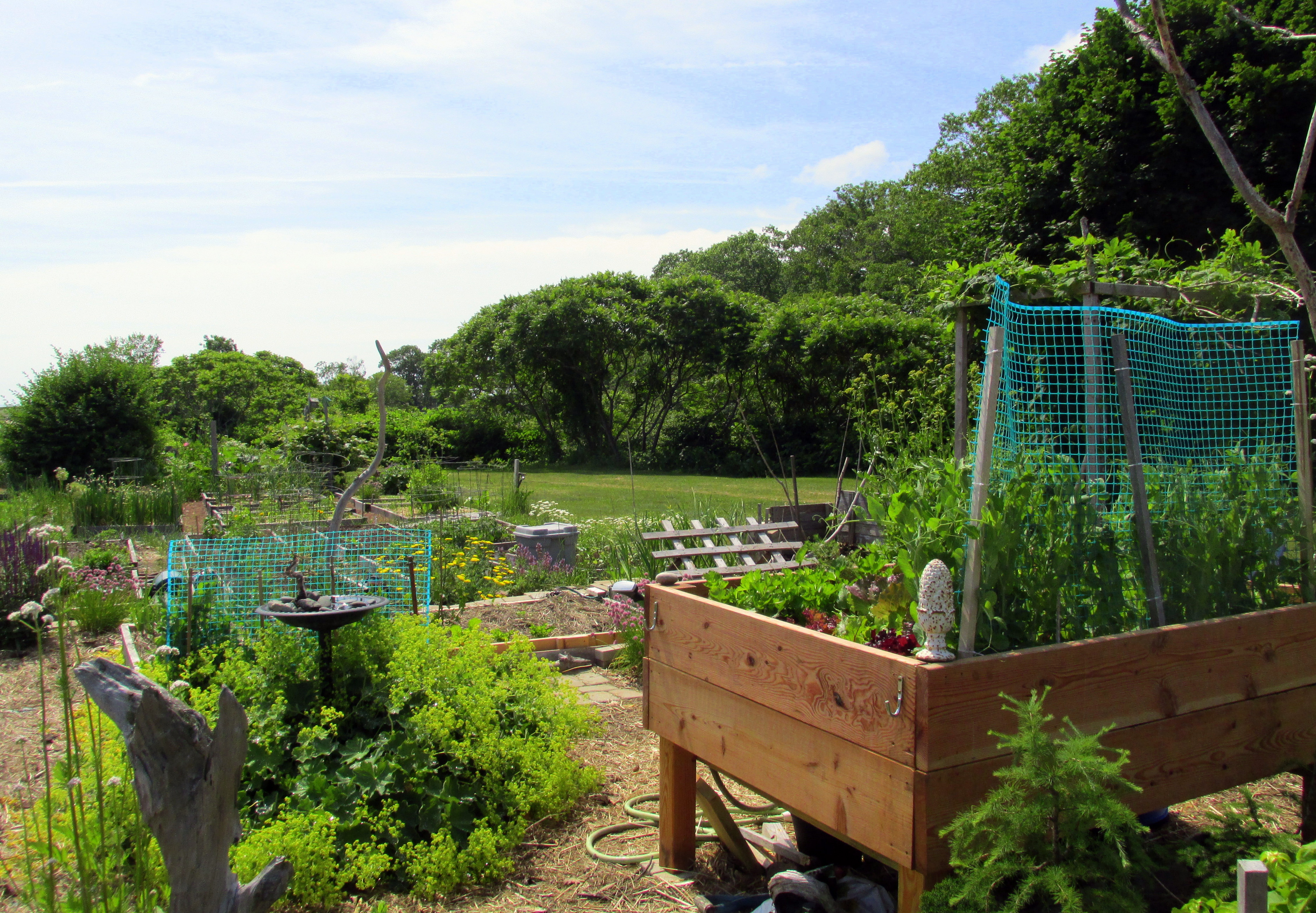 Book Notes: Introduction to Permaculture :: Chapter Eight
