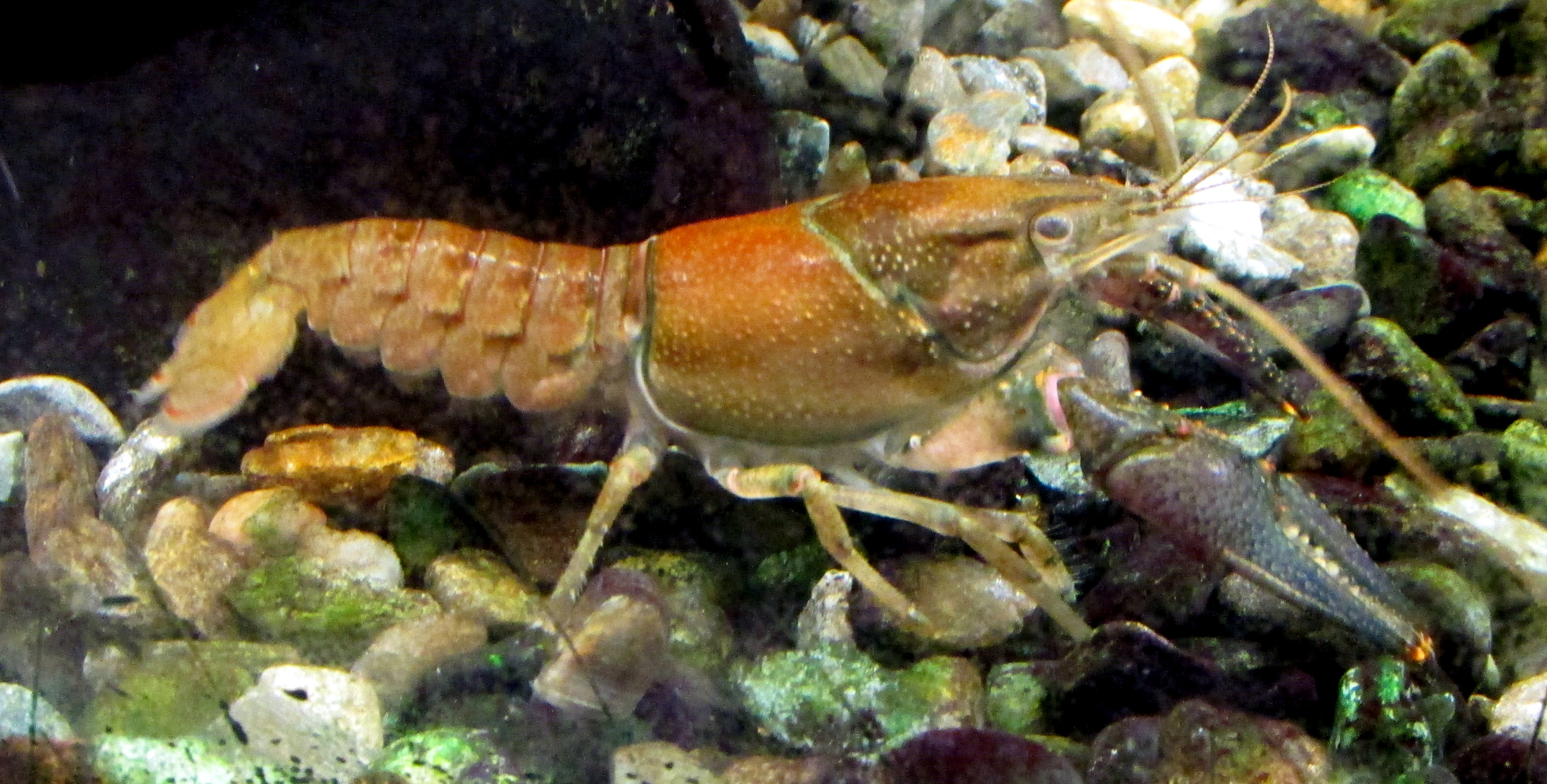 Book Notes: The Permaculture Handbook :: Chapter Ten