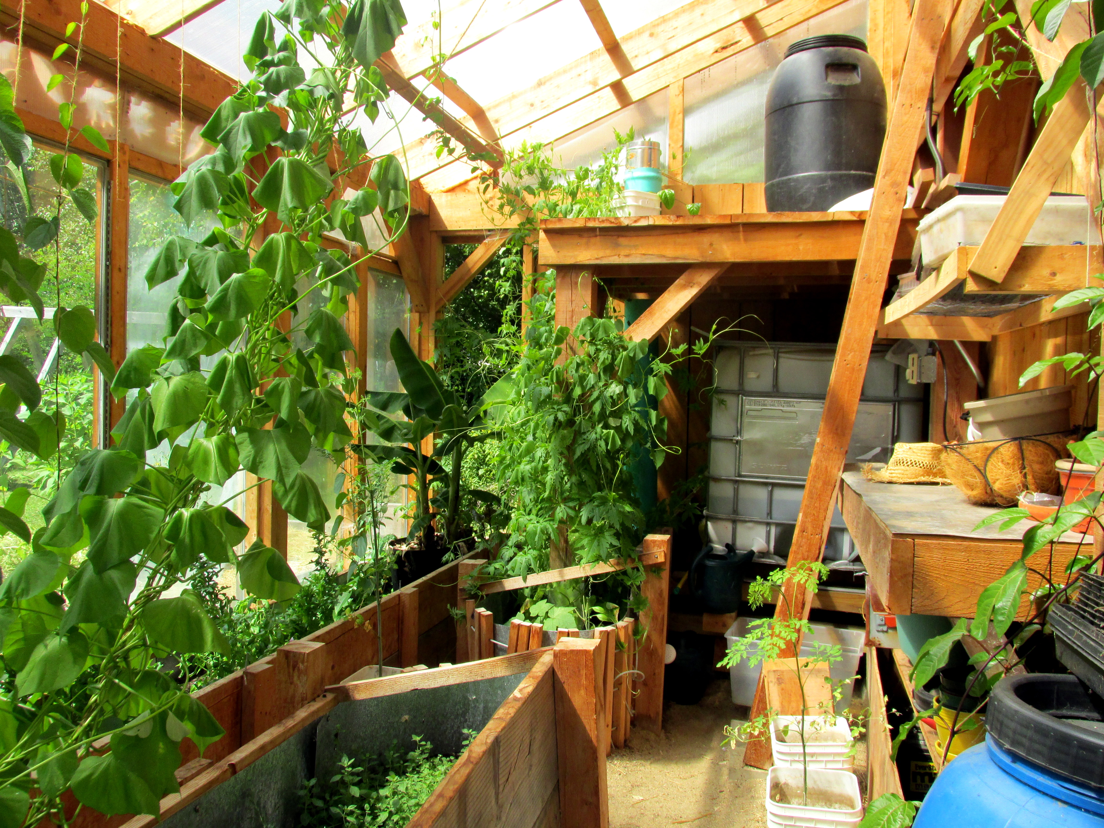 Book Notes: Introduction to Permaculture :: Chapter Four