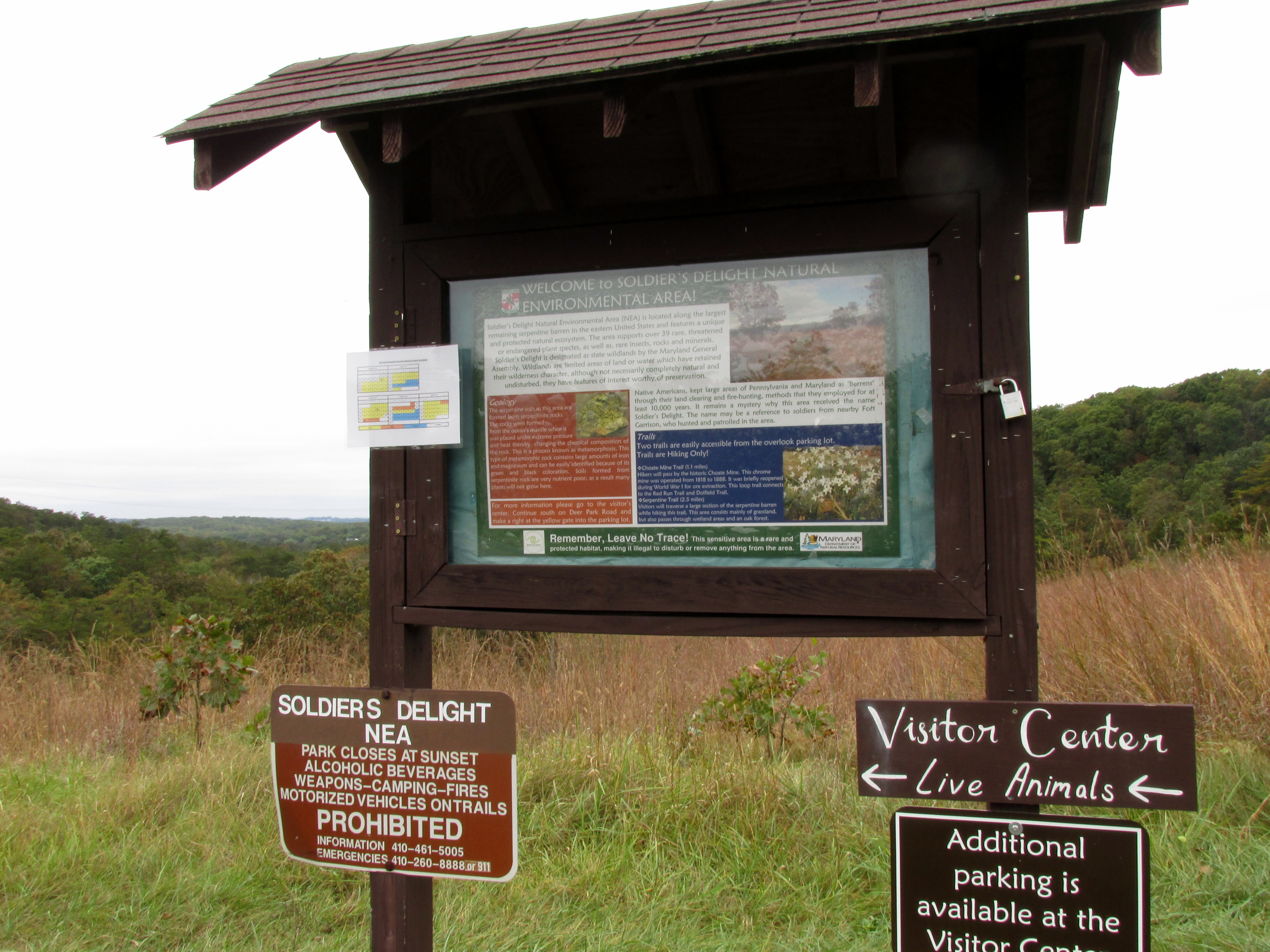 Serpentine! Serpentine!*