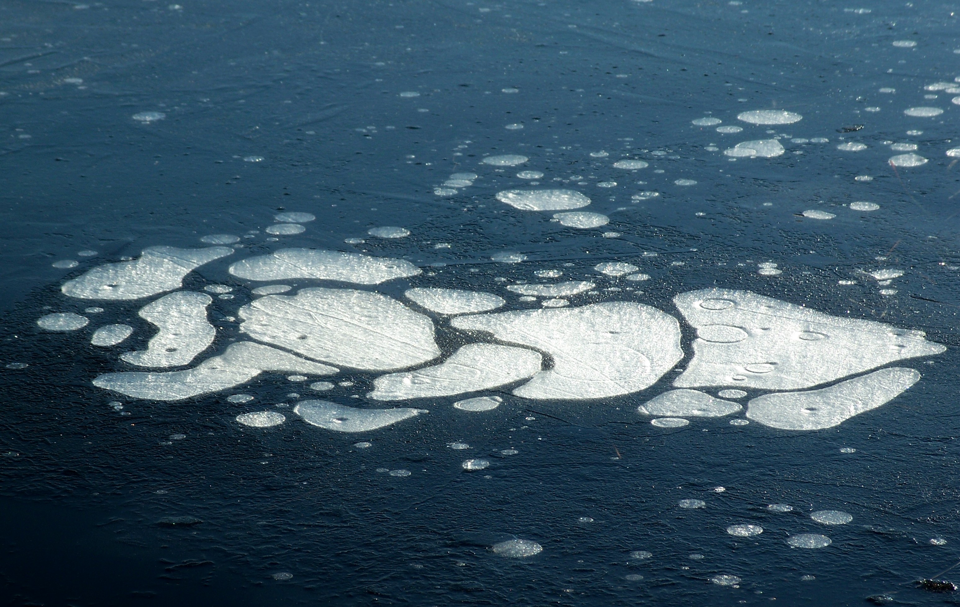 Book Notes: Introduction to Permaculture :: Chapter Three