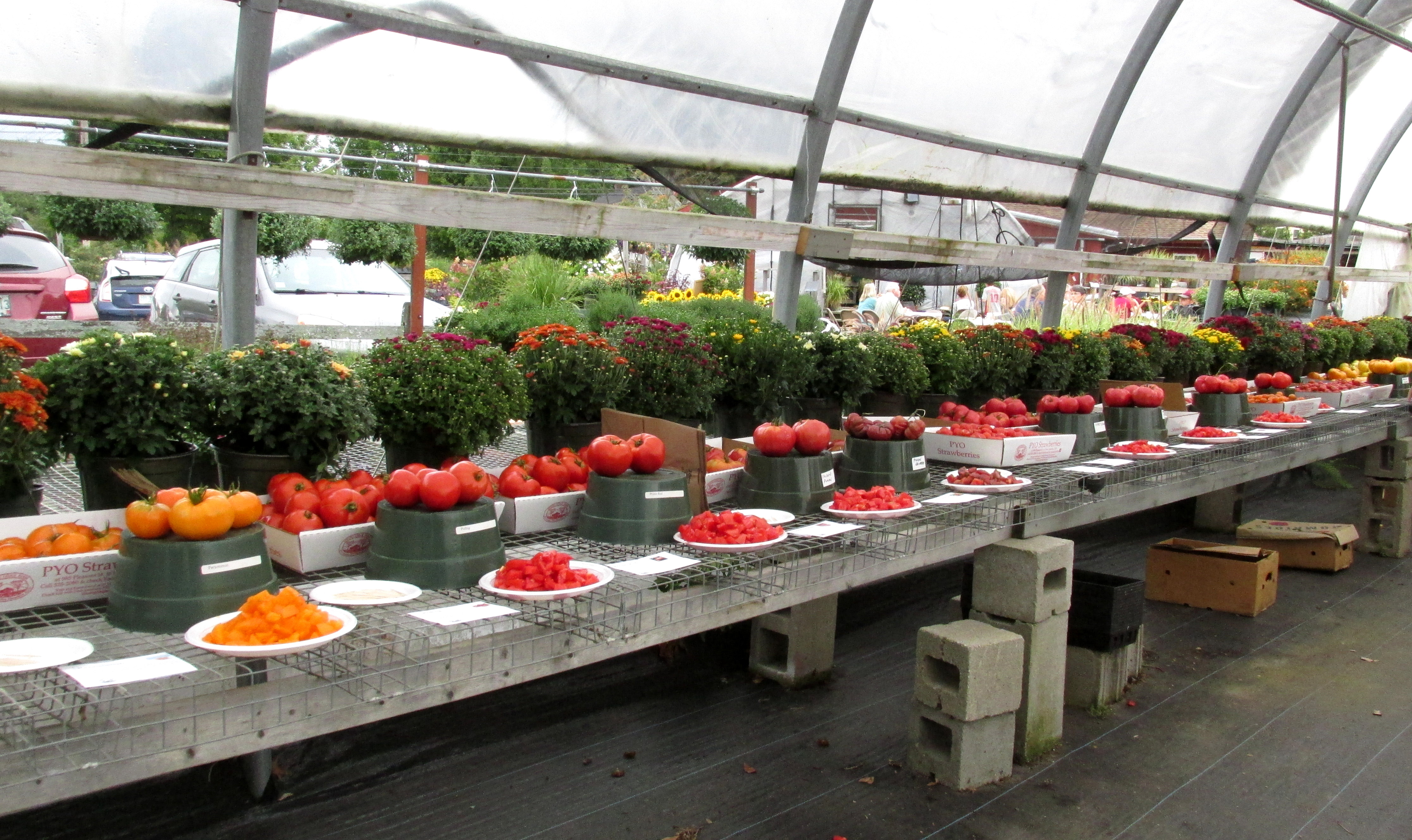 Book Notes: The Permaculture Handbook :: Chapter Four