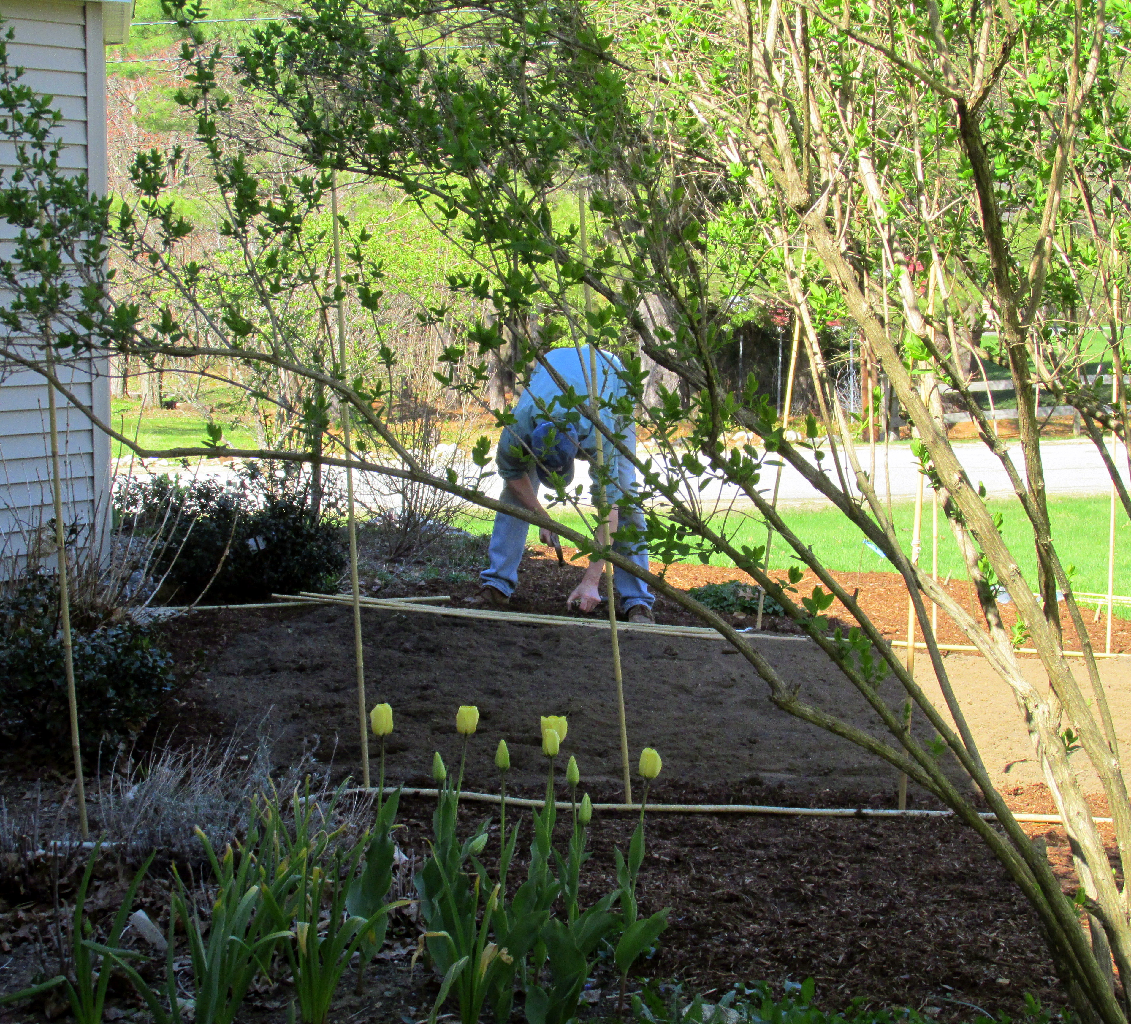 Book Notes: The Permaculture Handbook :: Chapter Two