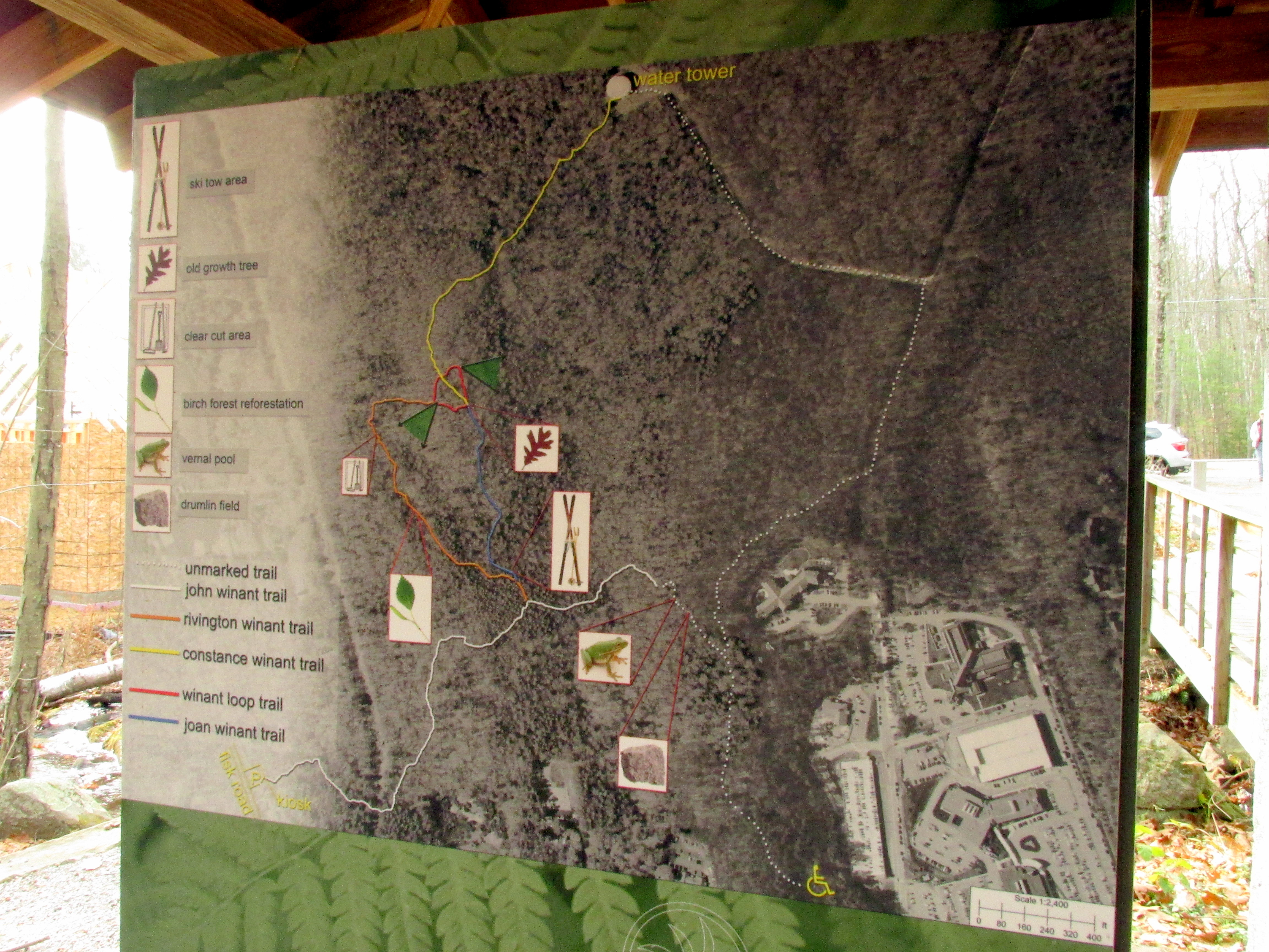 Autumn Leaves + Winter Sunshine